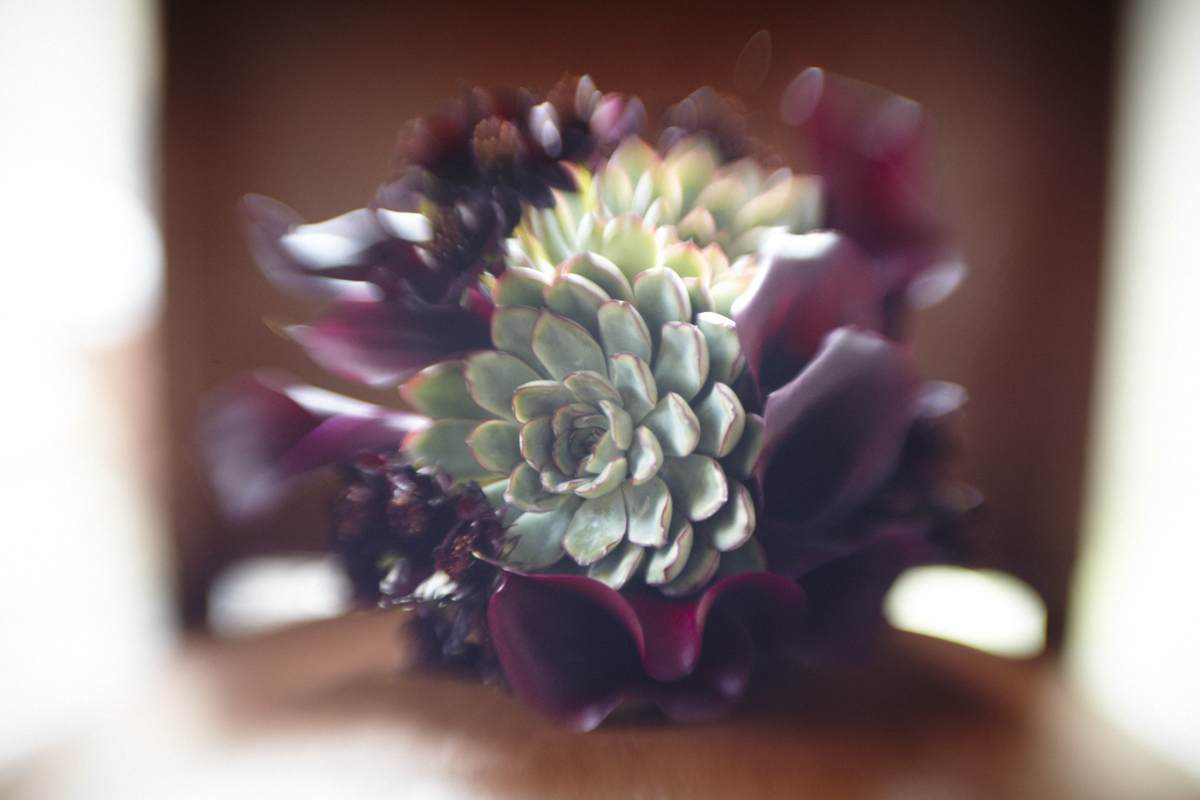 Project: Collaboration with Ang Weddings and Events Photo: Annabel Hannah
