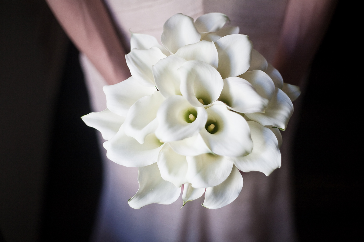 Project: Initial concept for Blush Designs Photo: Amber Knowles with The Amber Studio