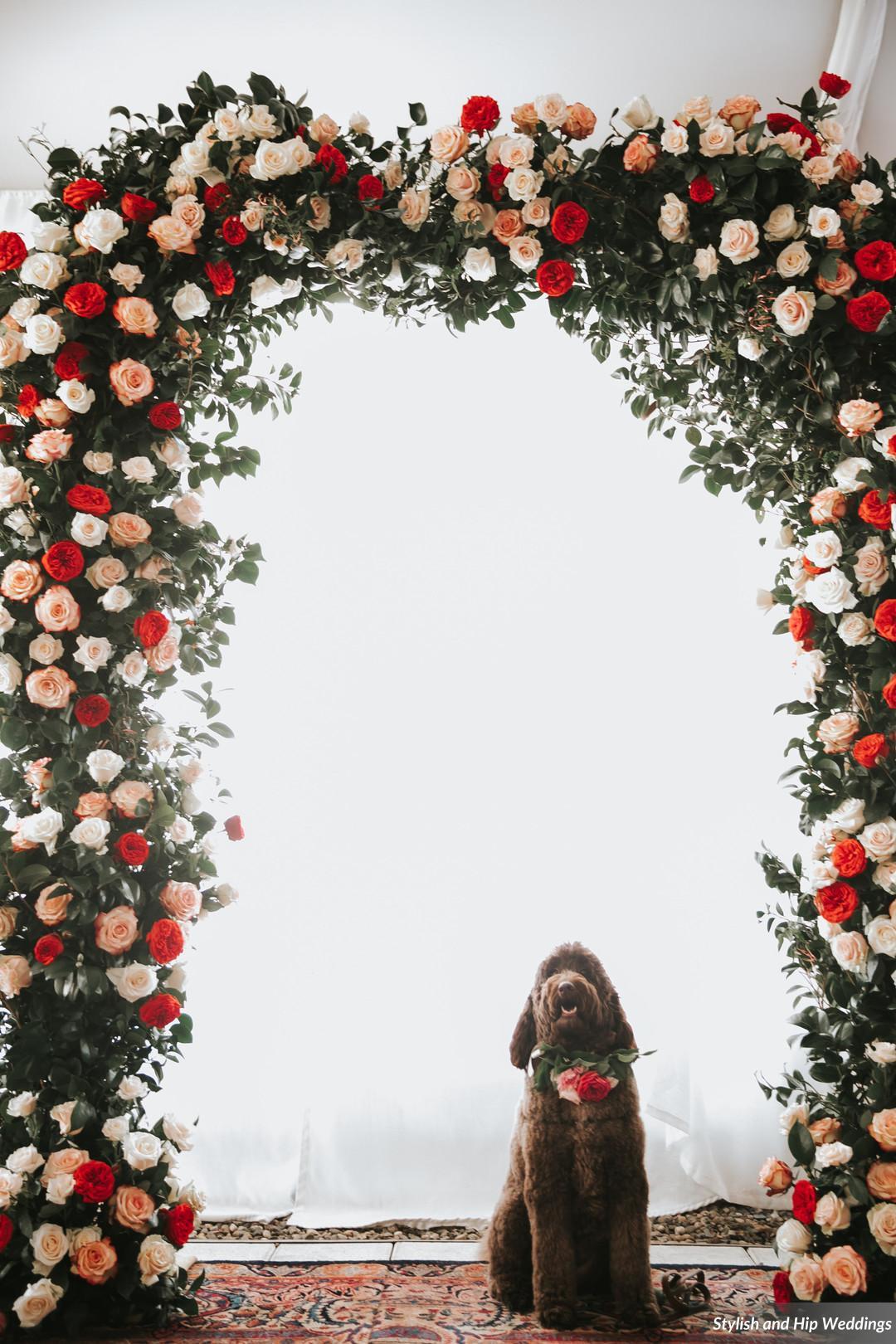  Photography:  Stylish Hip Weddings   Planning:  deVivre   Venue:  The Nomad Hotel  