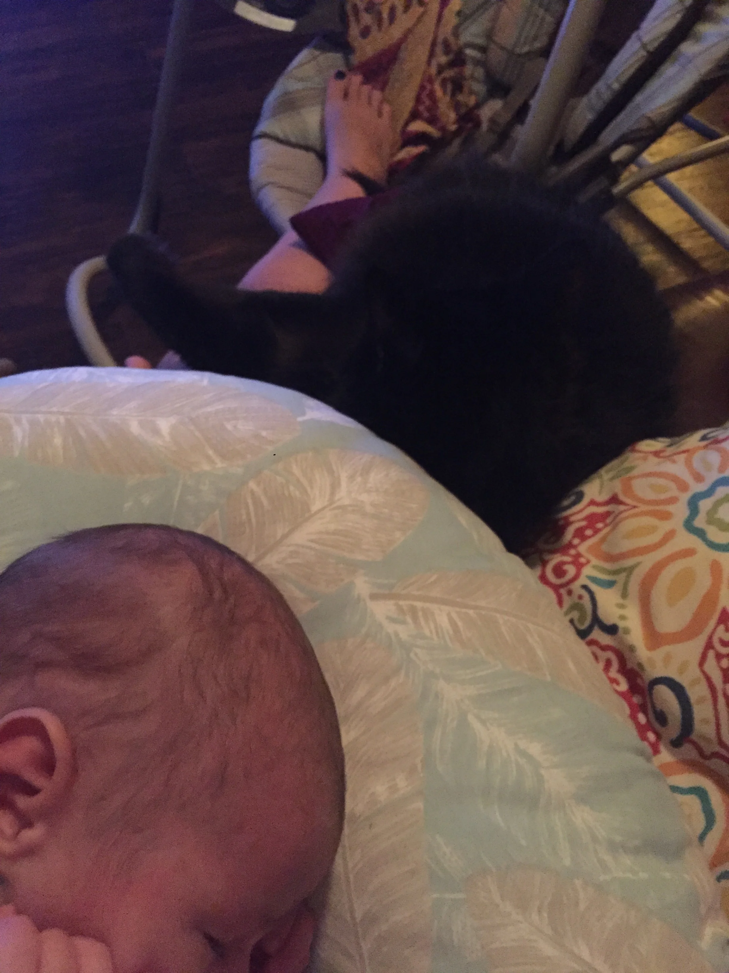  Wawa is starting to get a little closer to the baby. 