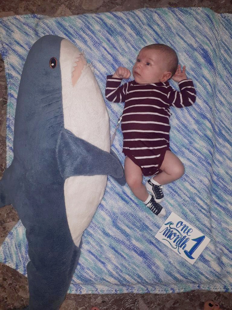  Looking little next to the shark! One month old. 