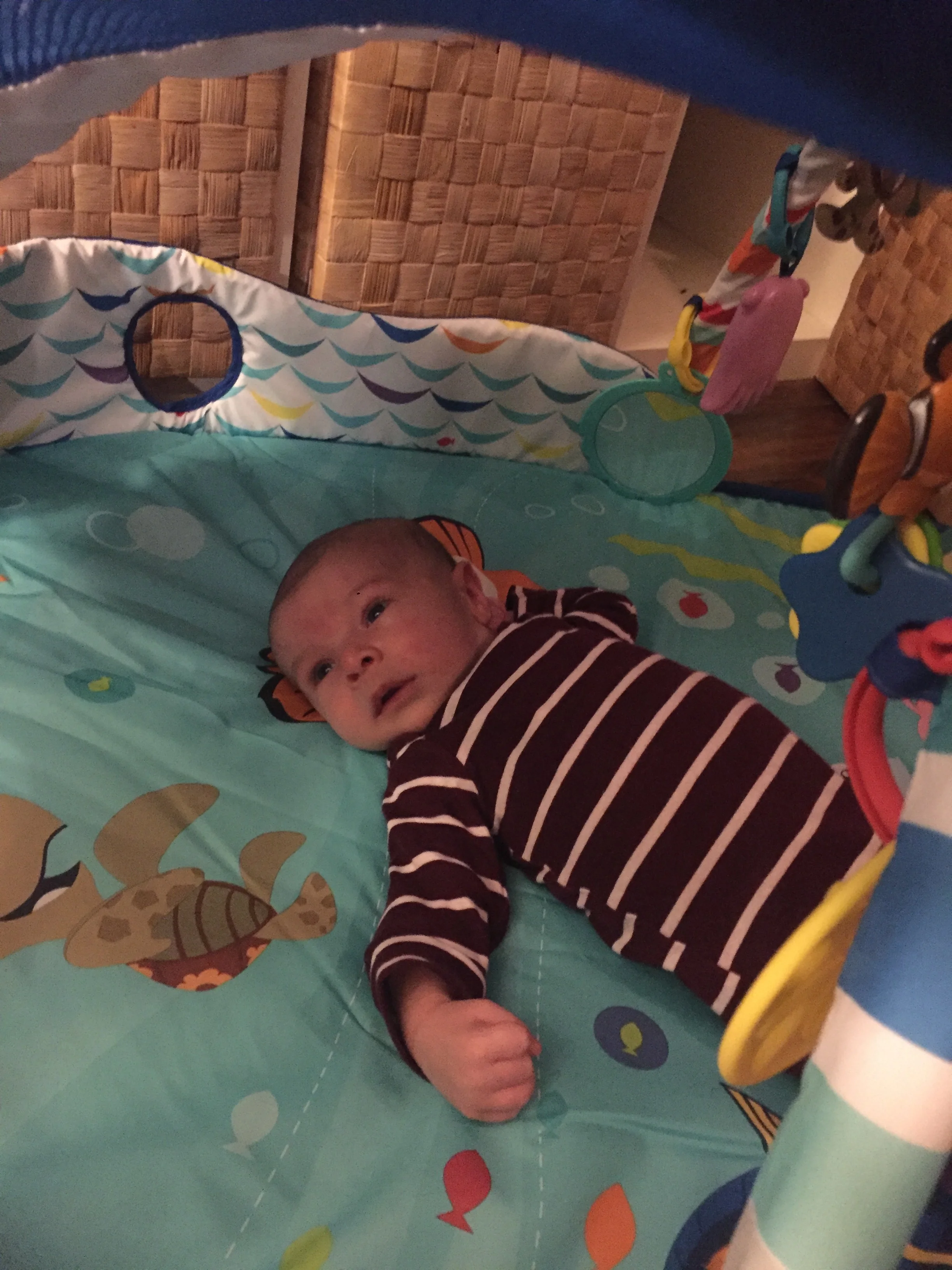  But the kitties will still share sometimes. 