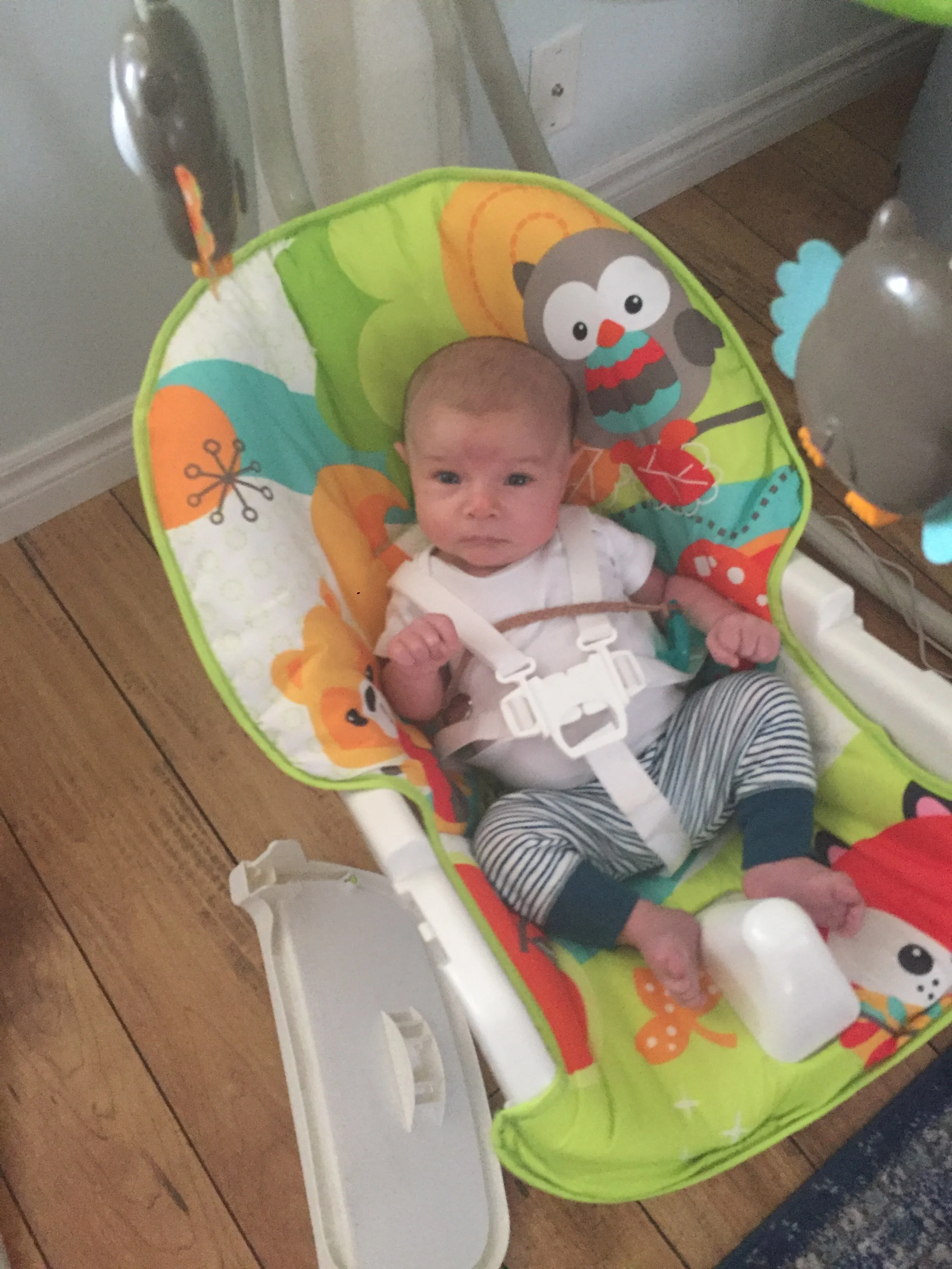  Cousin Leisel’s swing is pretty sweet! 