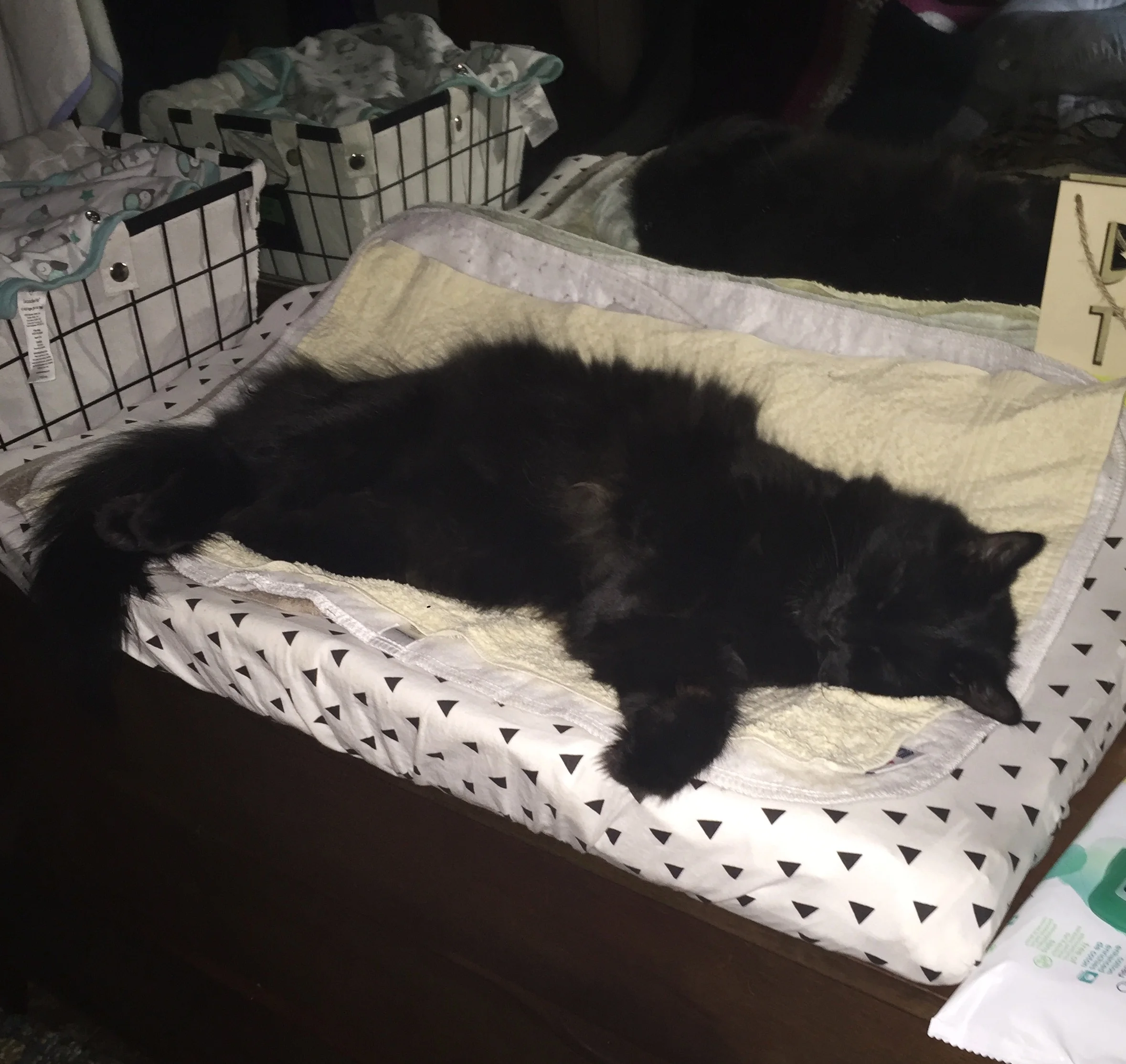  Kittens have claimed the change table now too! 