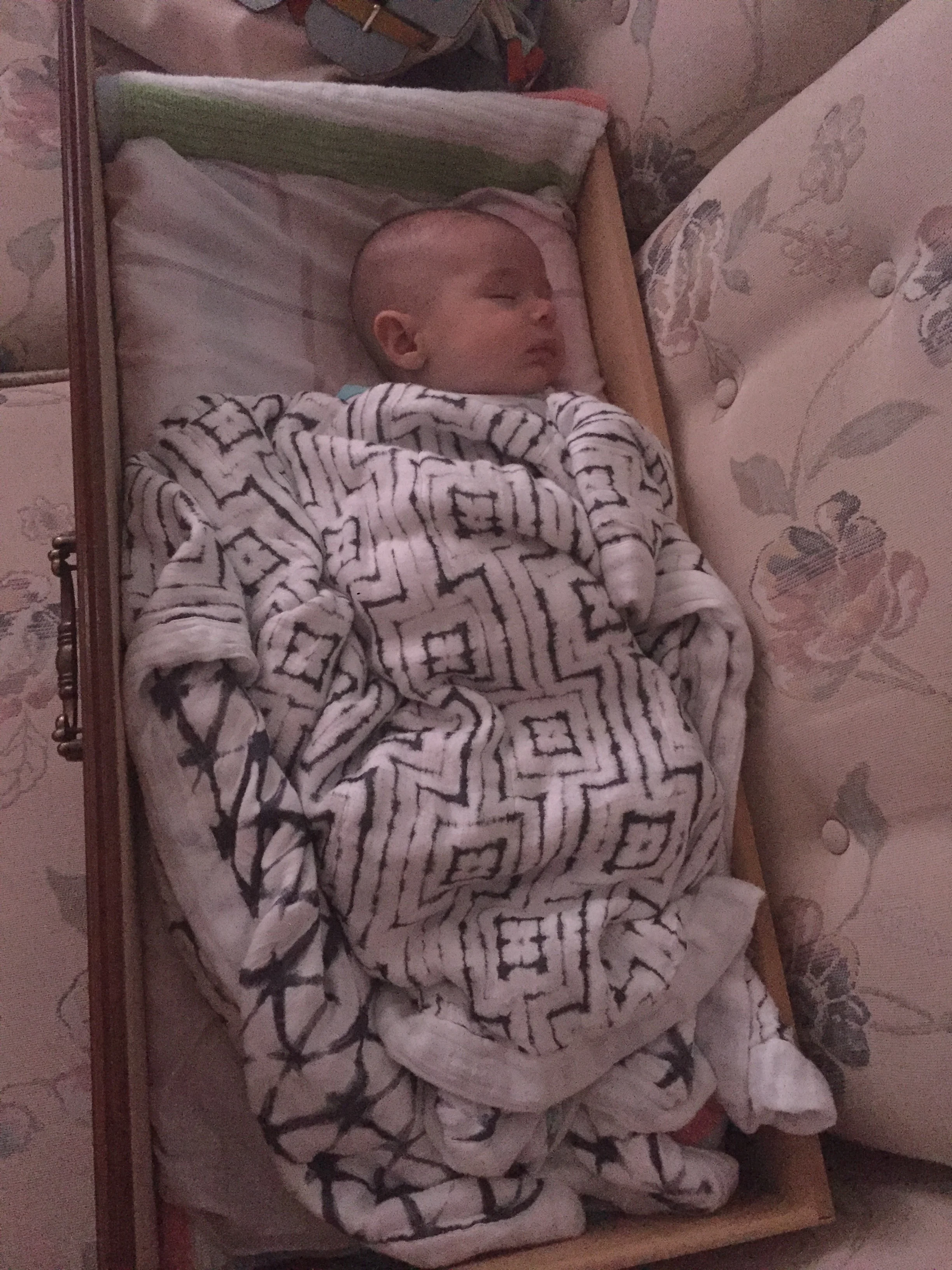  Napping in Great Grandpa’s old drawer. 