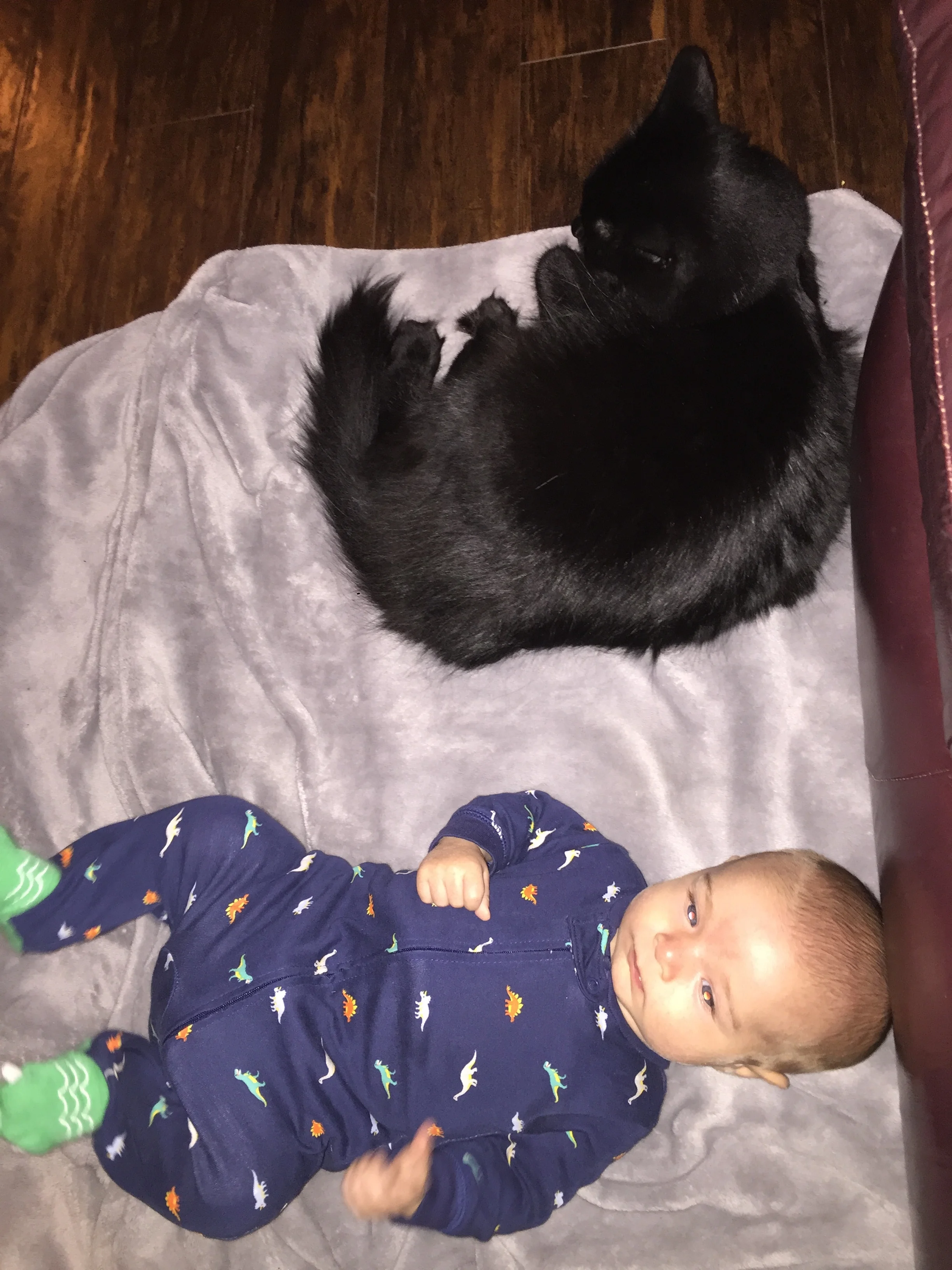  Floor time with Wawa 