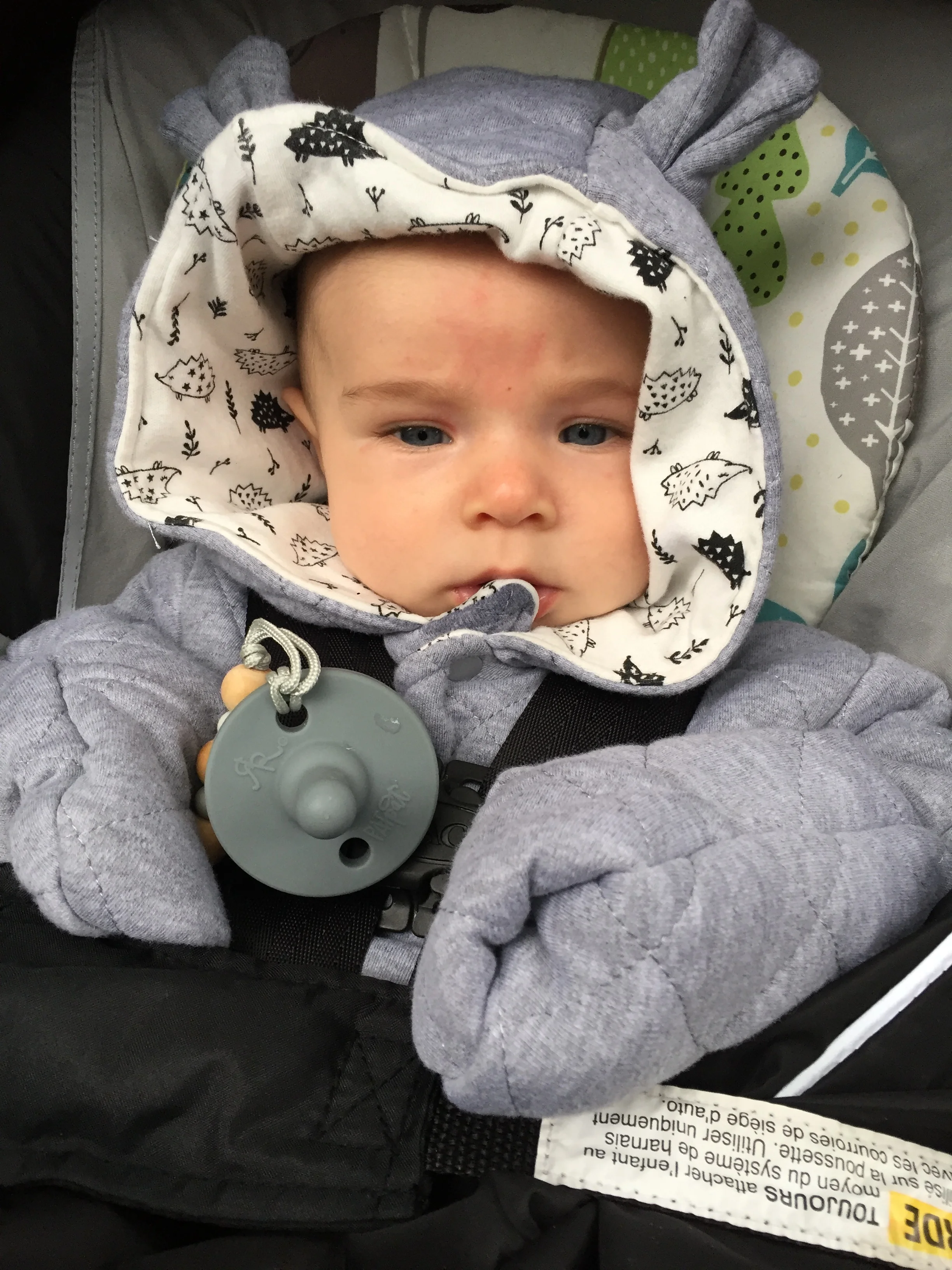  Walks in the rain…he’s not impressed 