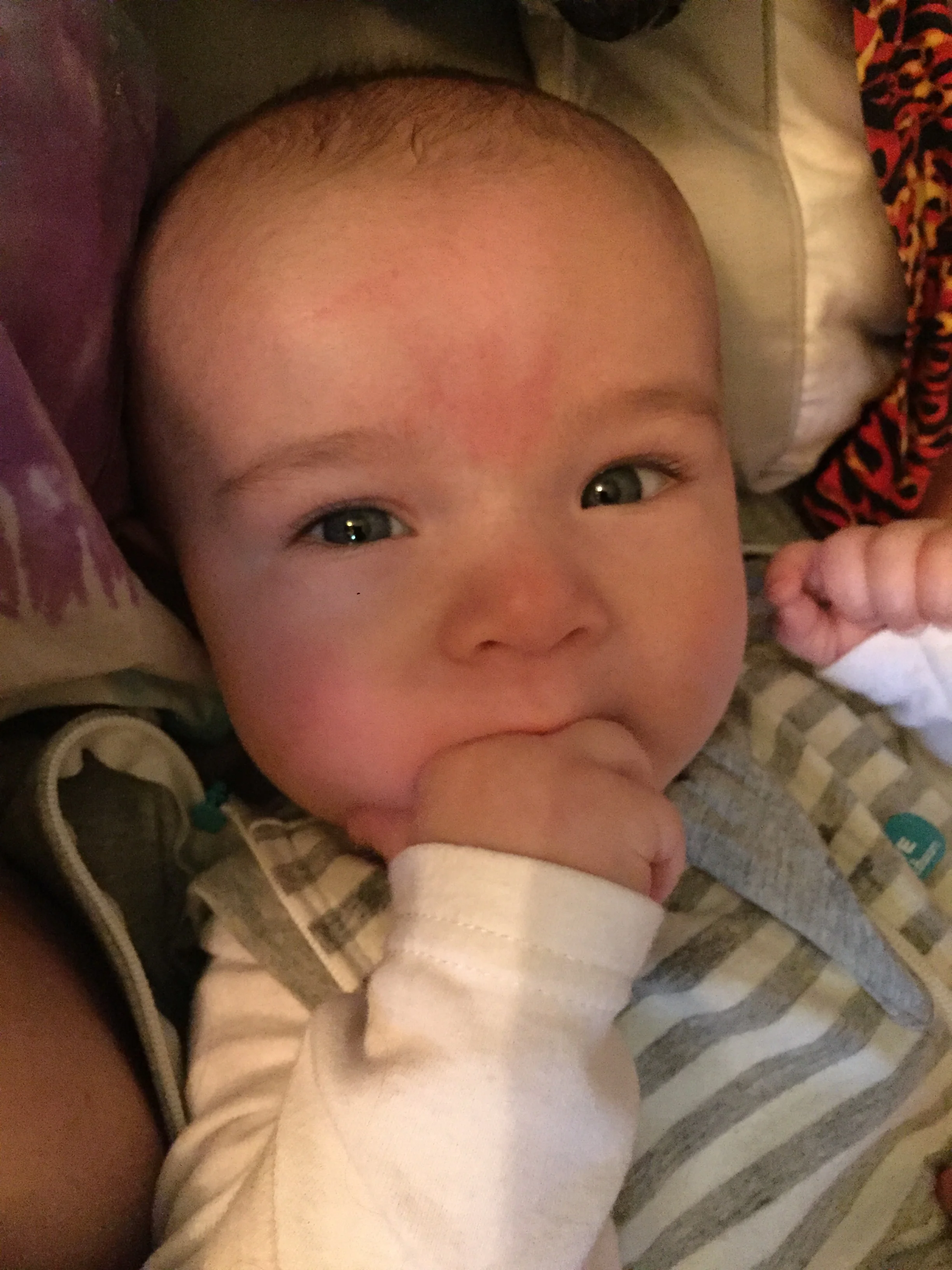 Signs of teething have begun. Rosy cheeks, and chewing everything! 
