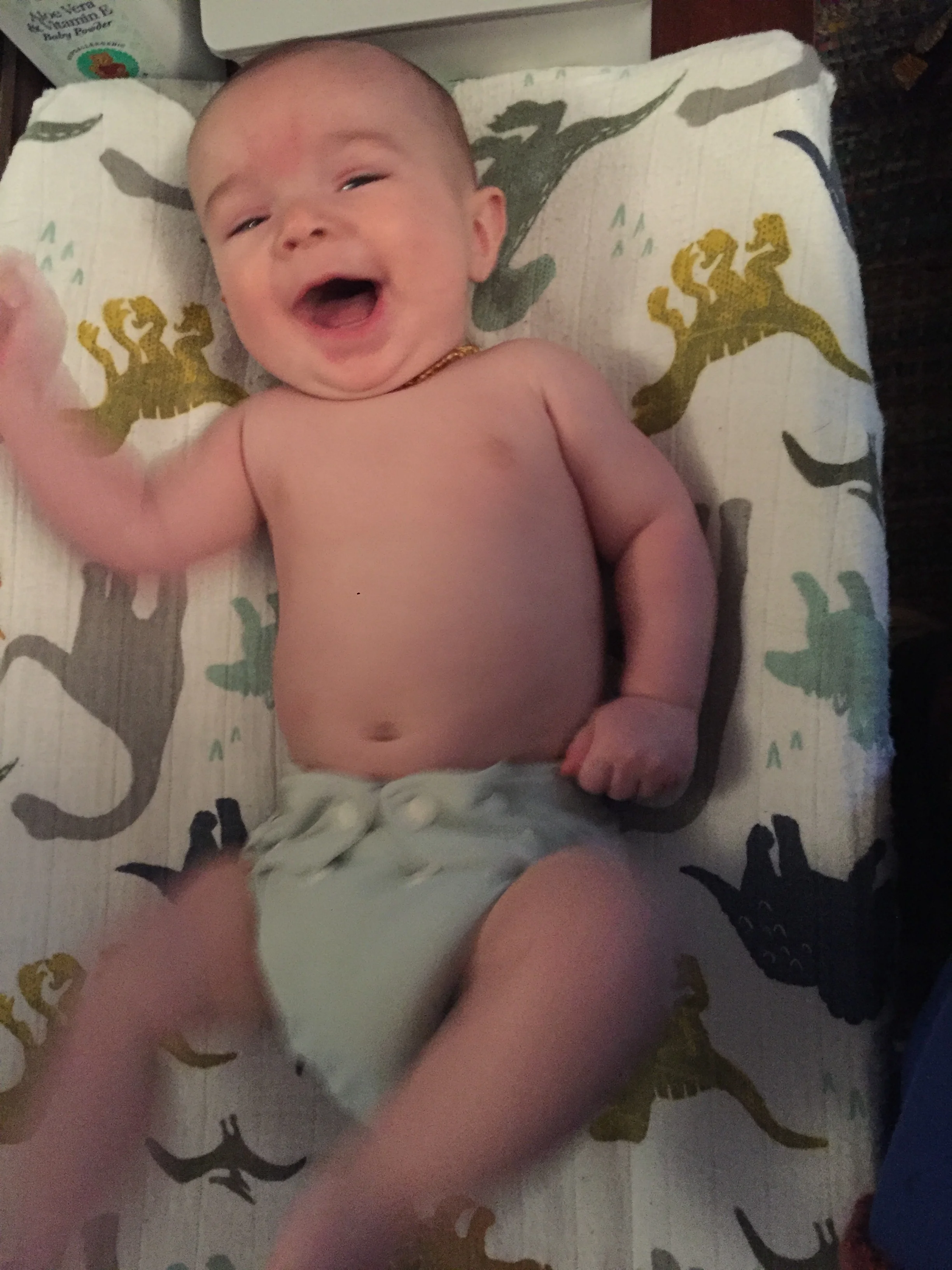  all the wiggles on the change pad 