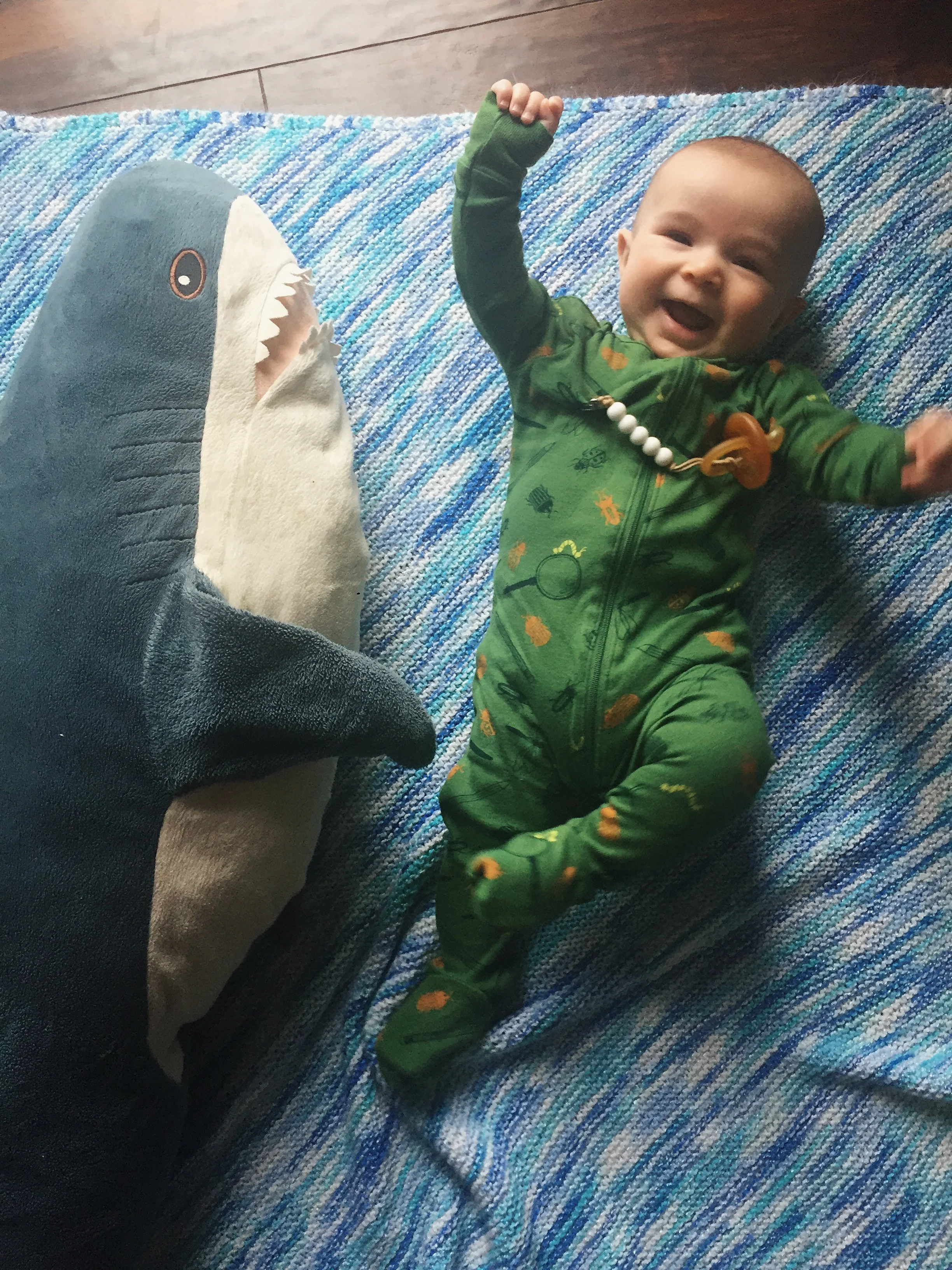  four month old photo! shark party! 