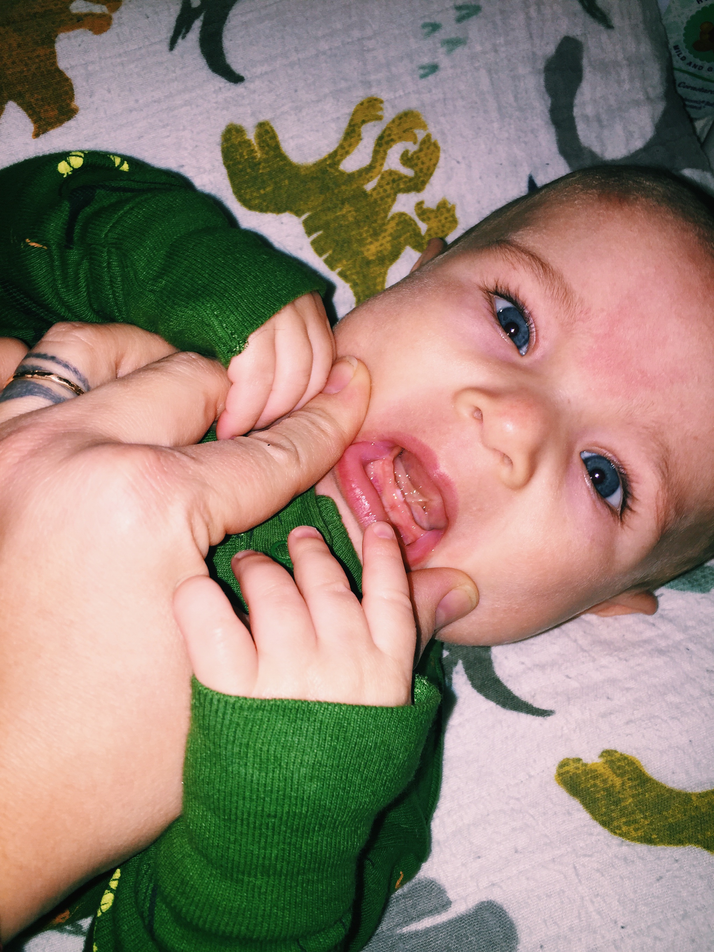  one little guy has popped through, with a second not too far behind 