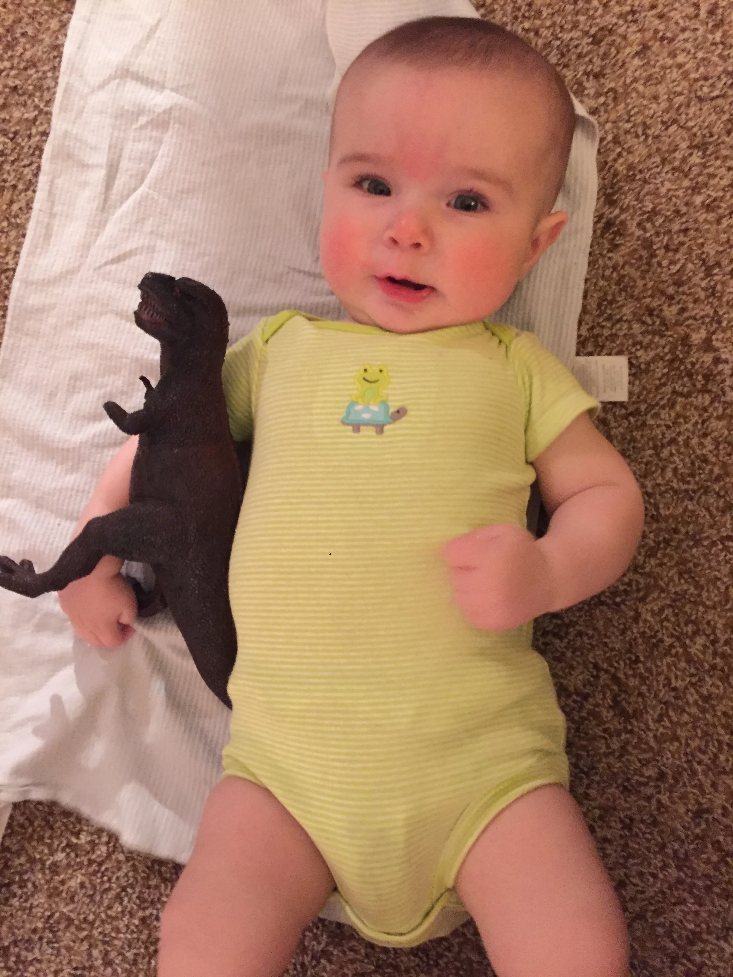  Dinosaur play at the Evans 