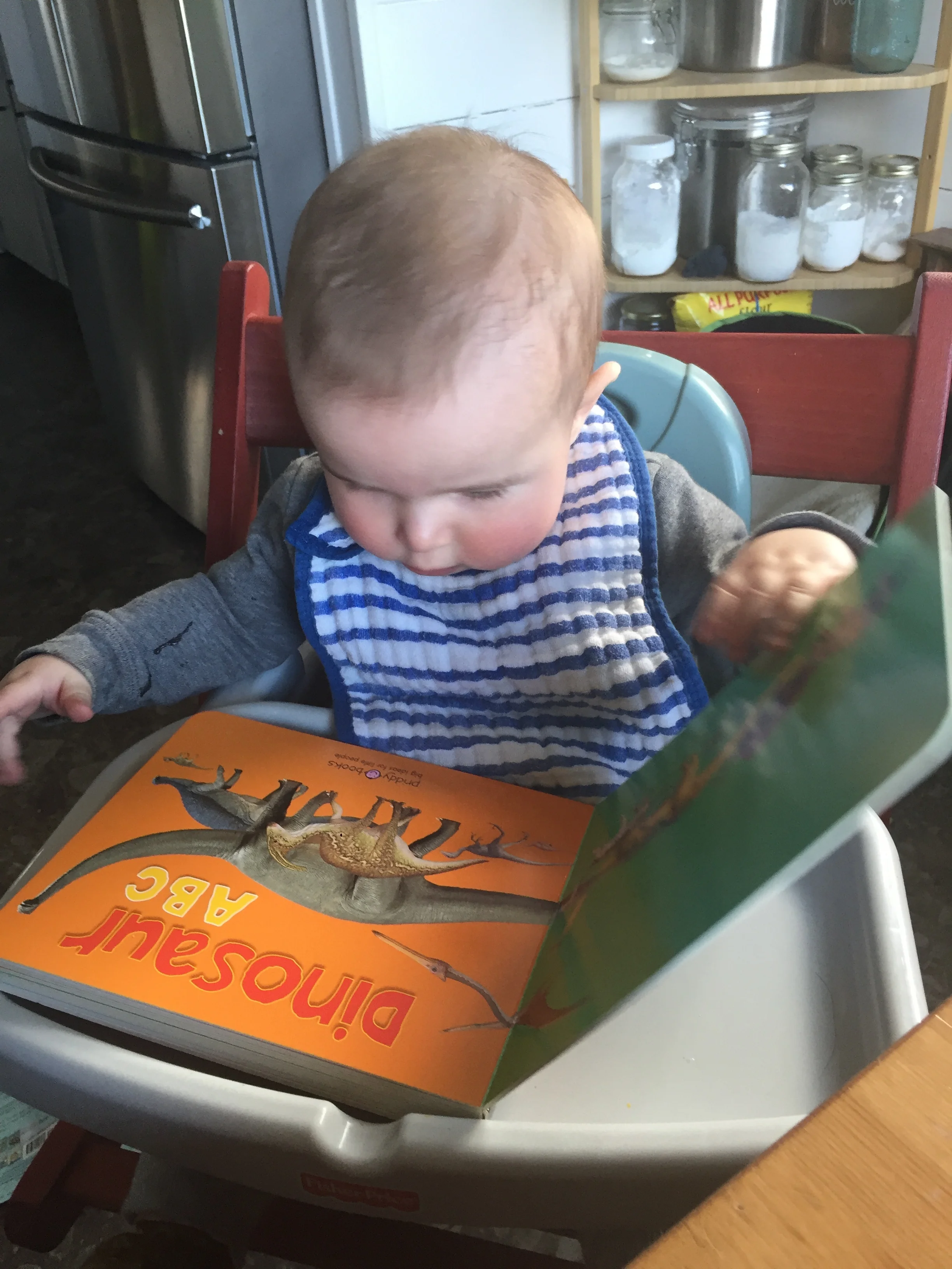  LOVING all the books 