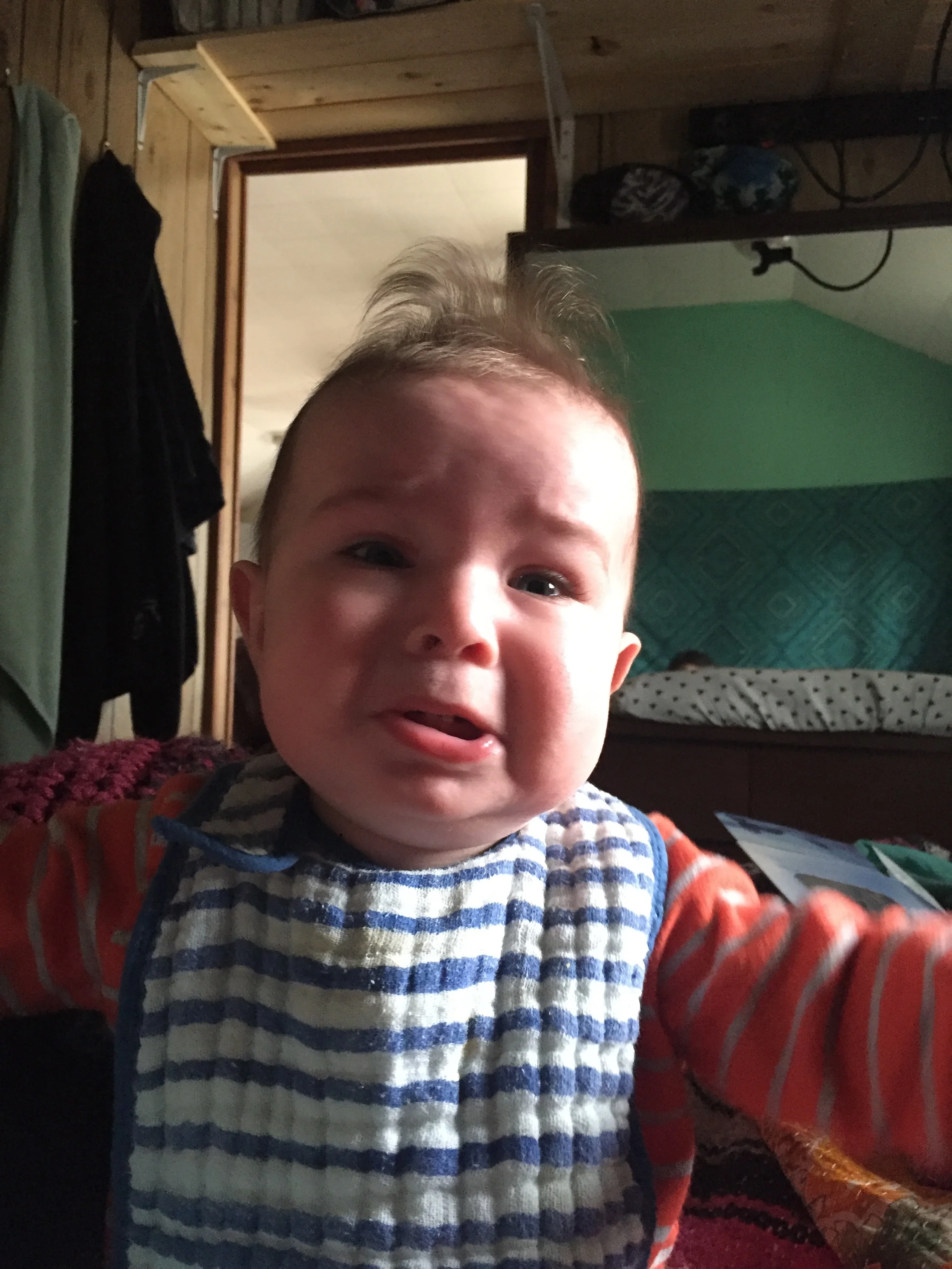  Losing it because mom is using her phone to take a picture instead of letting me hold it. 