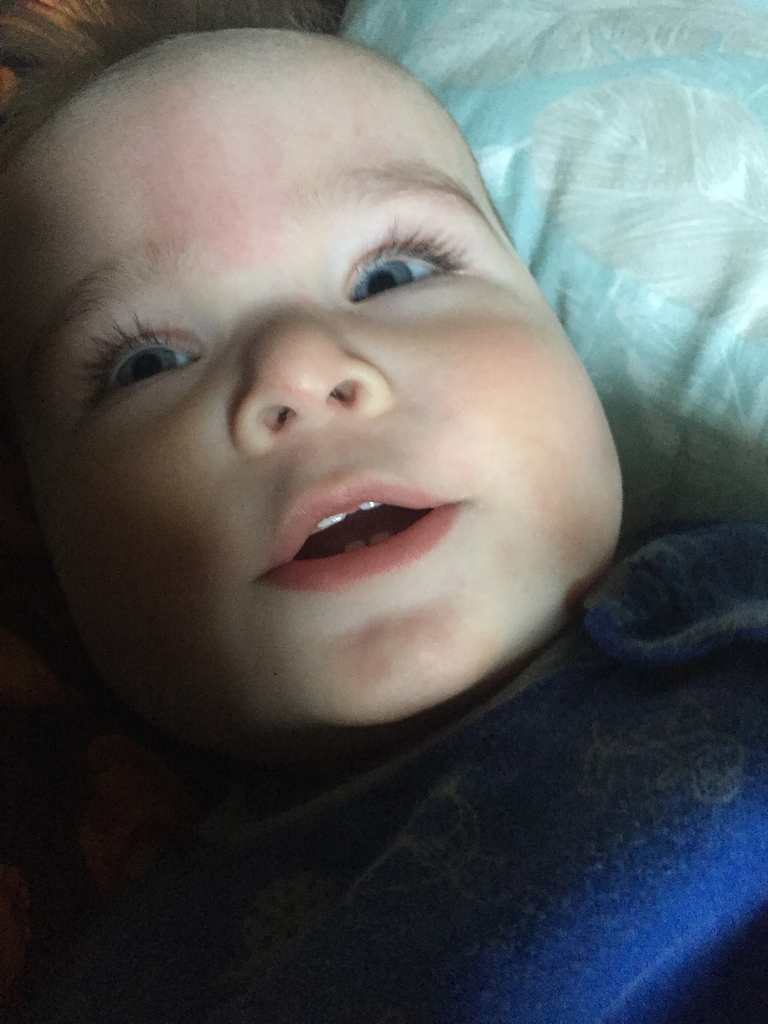  I have new teeth! Now a total of 8! I treated mom and had the top 4 all come in during the same week 