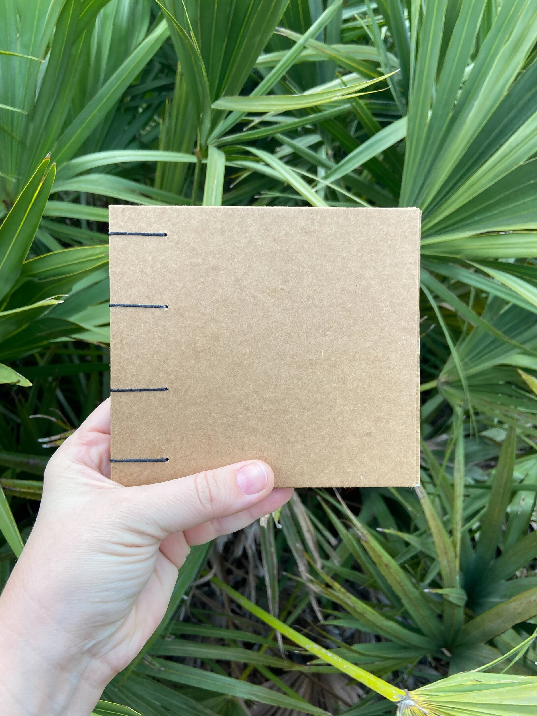 9646FE60-2AFE-4689-A97B-93B108267561