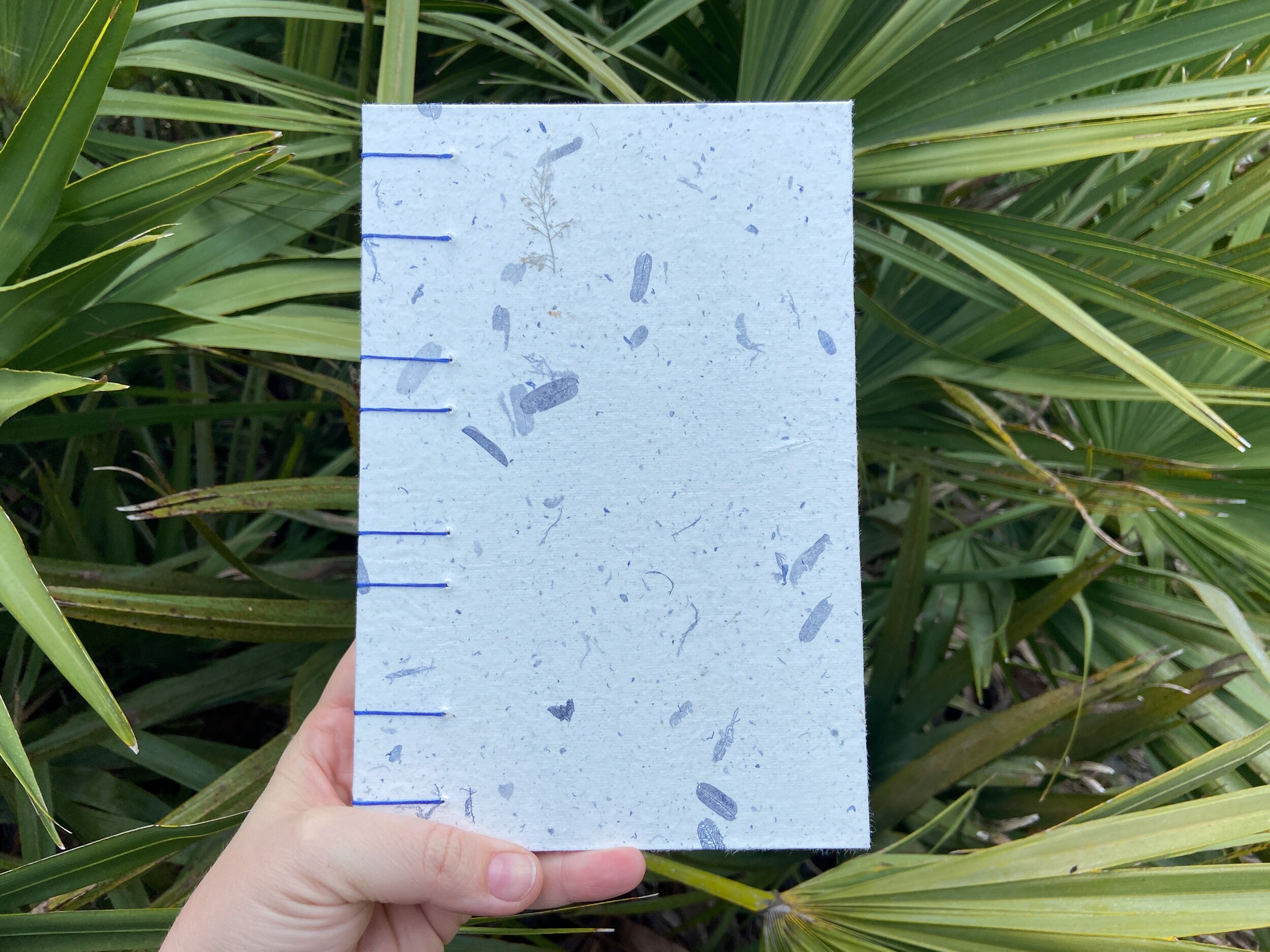 660E86AD-8958-4B43-A9F1-053B8CE5D59F