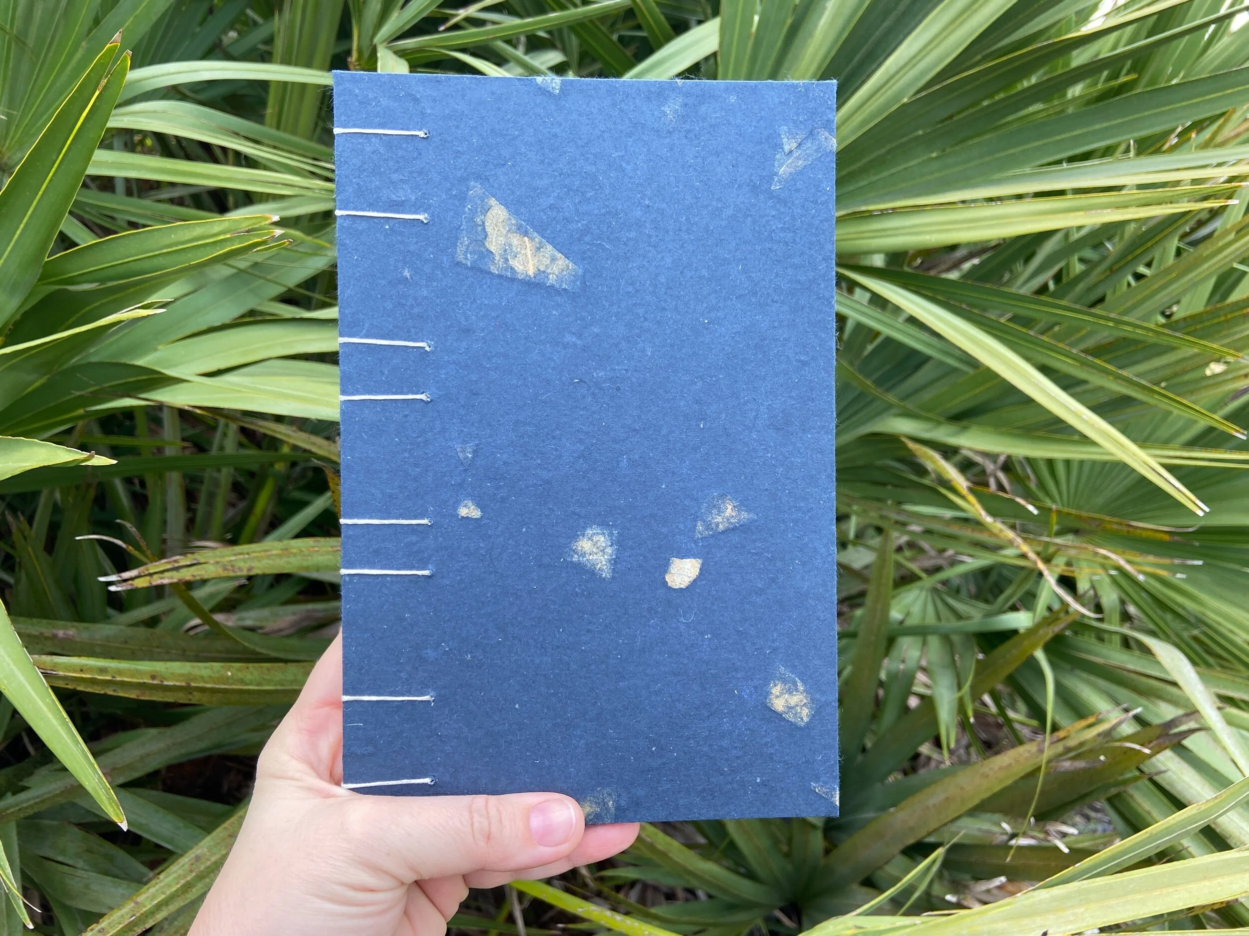 625D293F-3D5F-48FF-970B-E87DAC8229BC