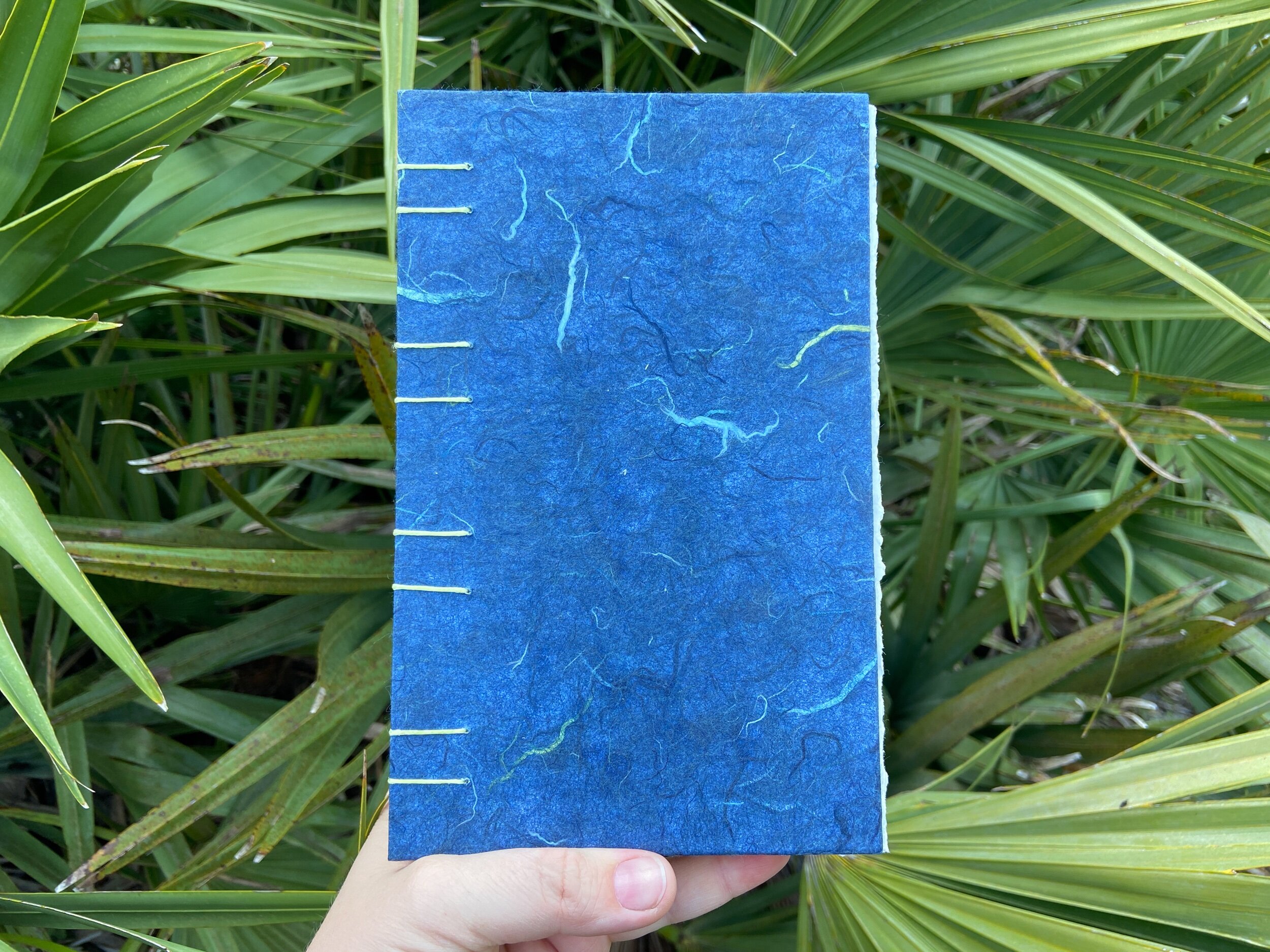 CFD181ED-4AE3-43B0-8D67-0B334603F998