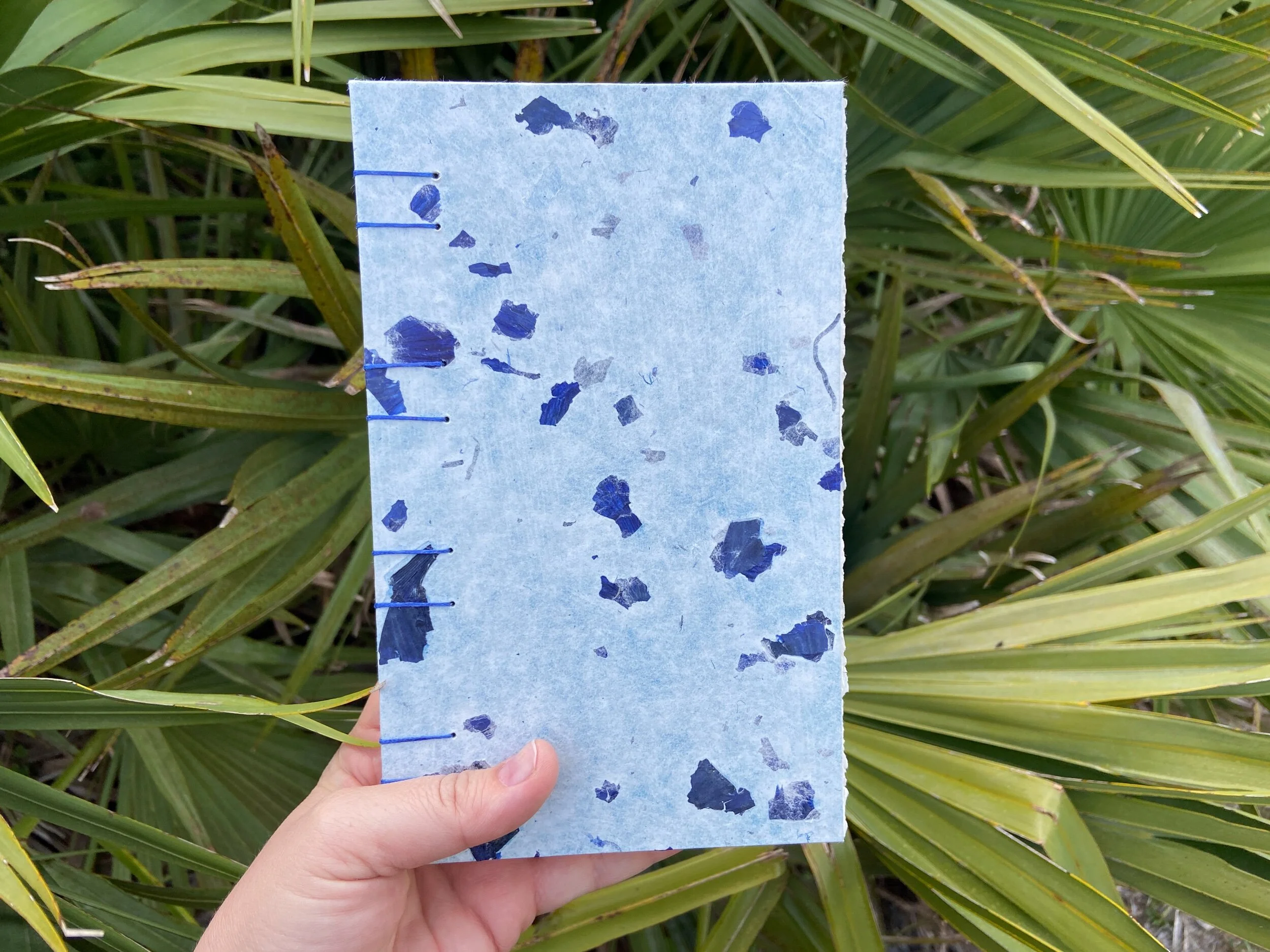 D5B44E06-24B2-452D-BCE6-B0964F276E38