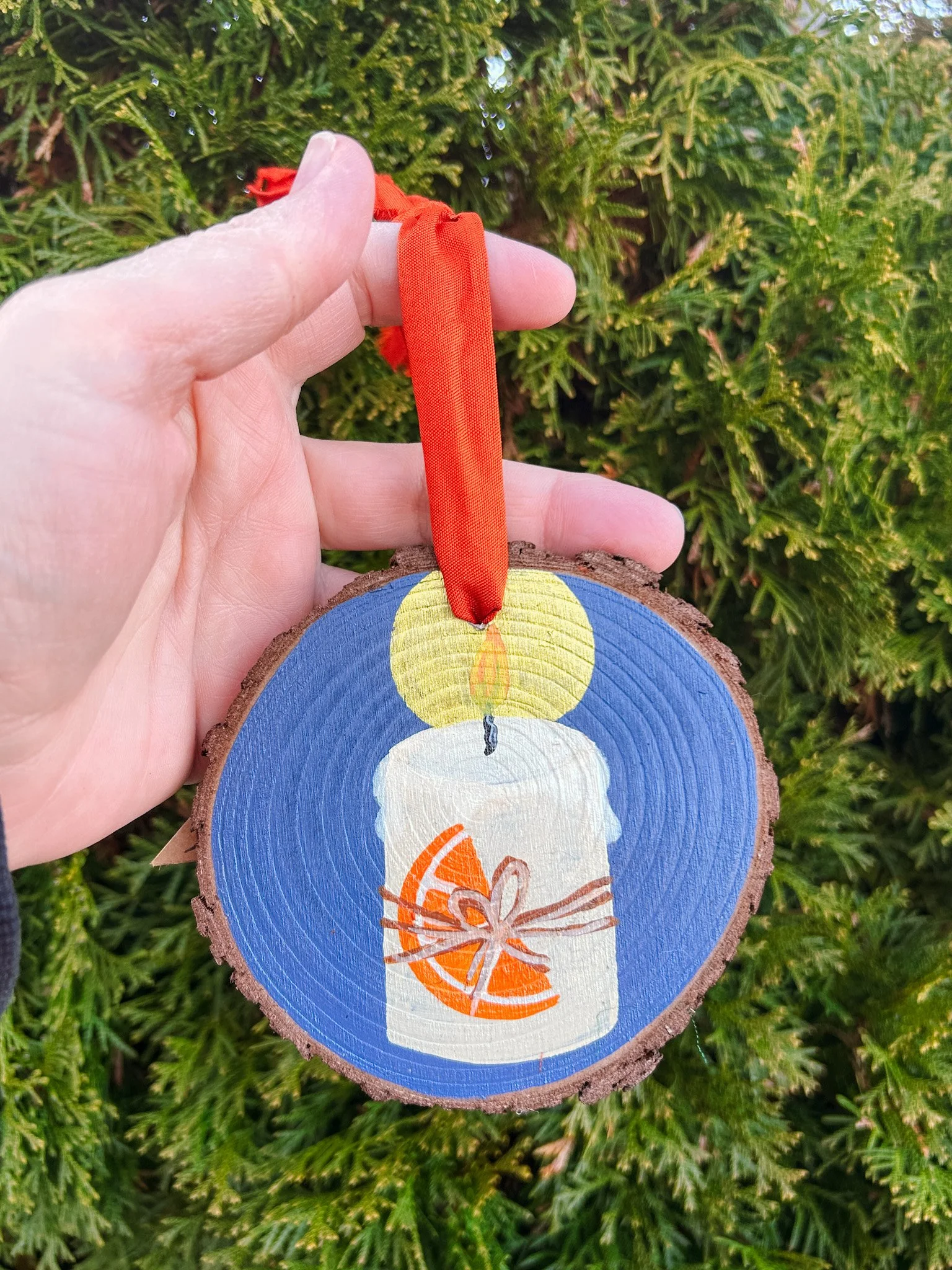 vii winter light.JPG