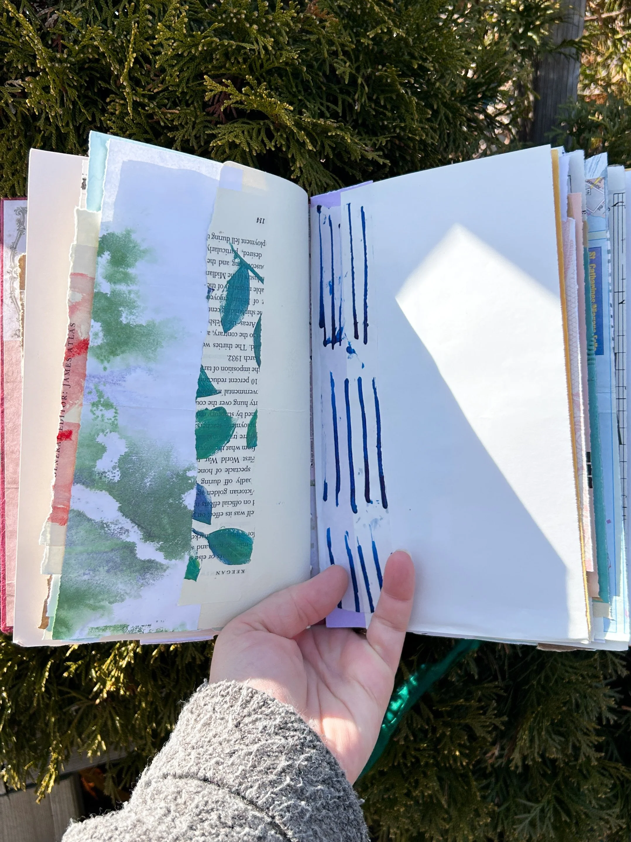 tattered books-51.jpg