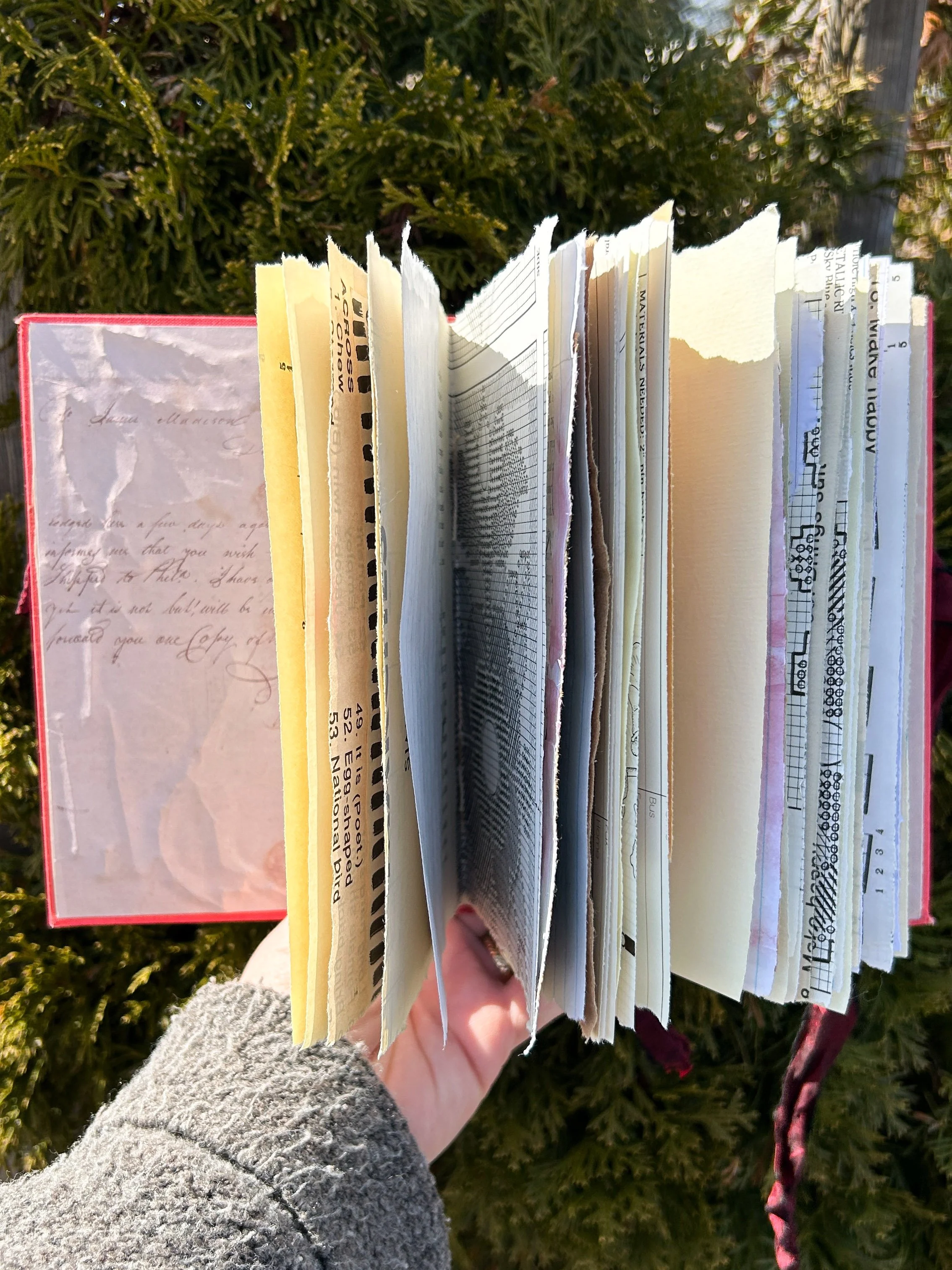 tattered books-77.jpg