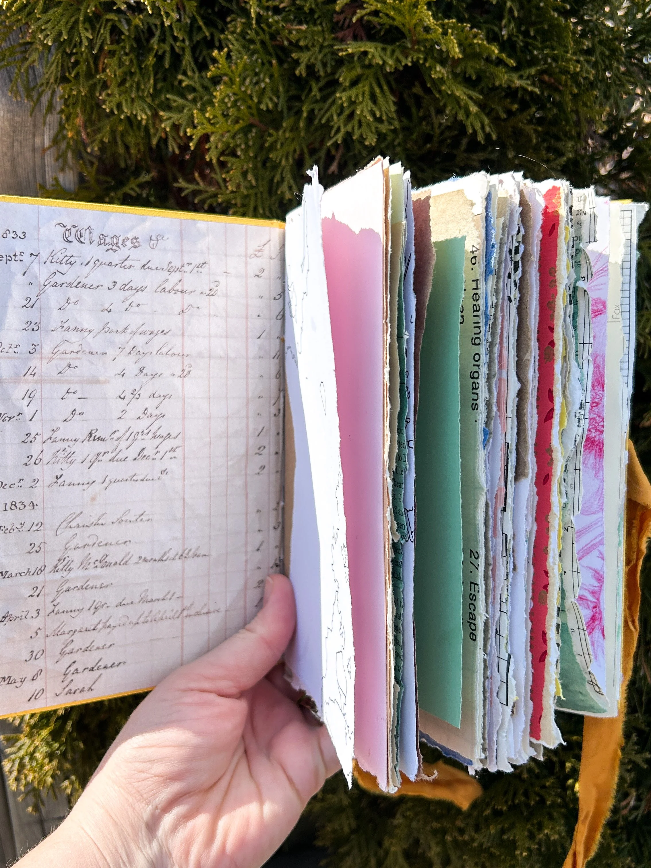 tattered books-4.jpg