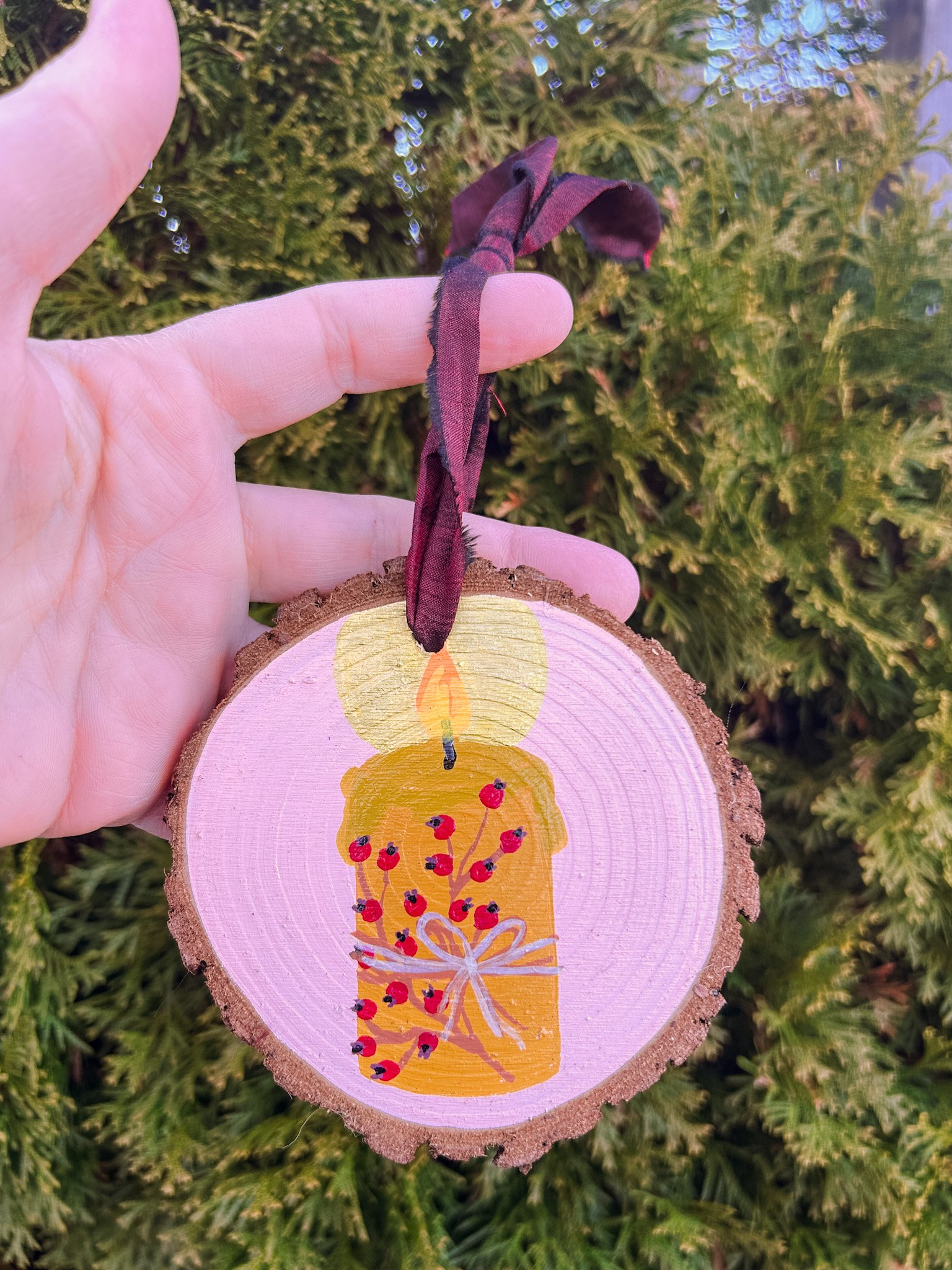 viii winter light.JPG