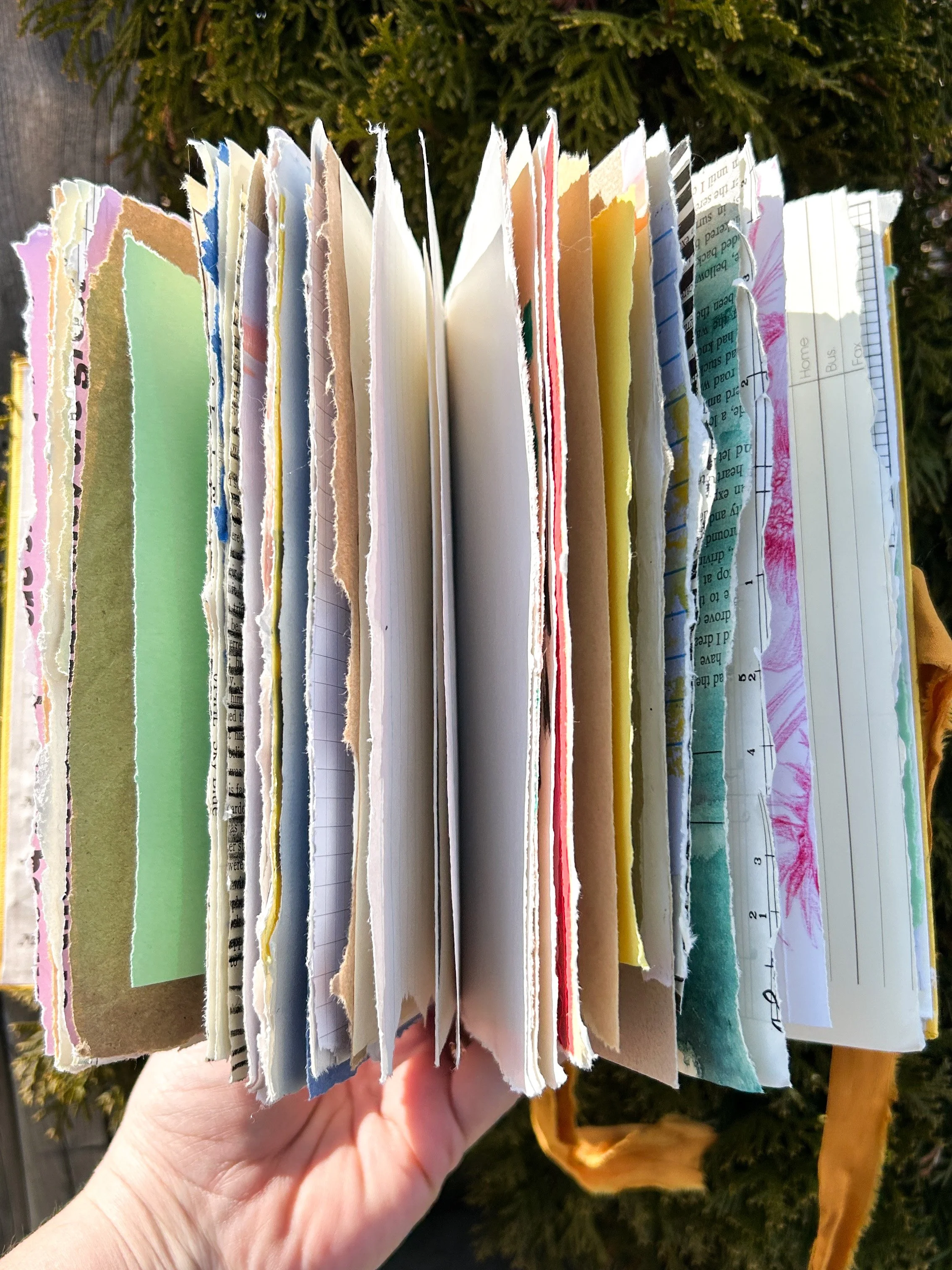 tattered books-5.jpg