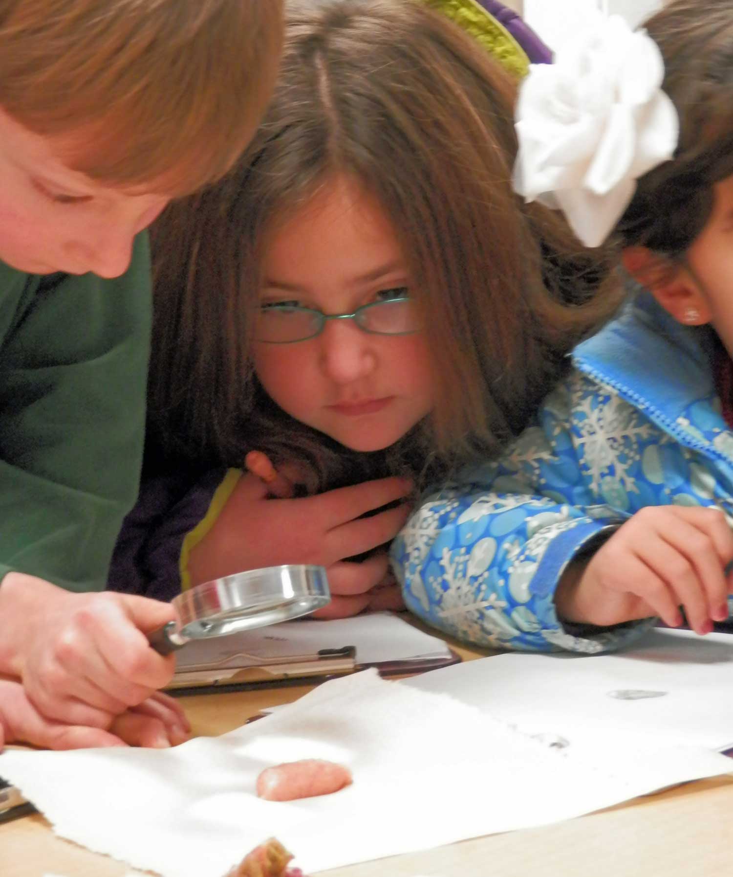 Current WMS Elementary students dissect a fish during Science class