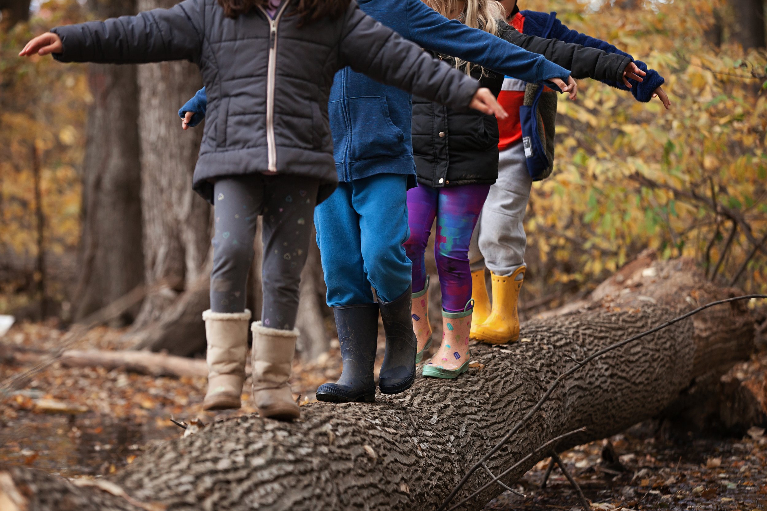 Kids Tree Trunk.jpg