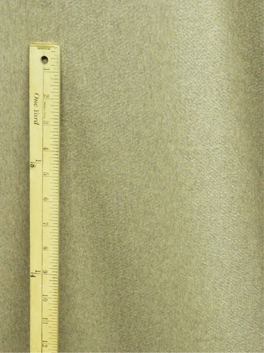 camel4.jpg