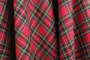 Small Classic Royal Stewart Tartan plaid — Mendel Goldberg