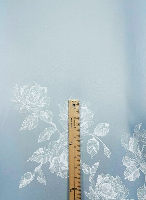 cindarella+ruler+crop.jpg