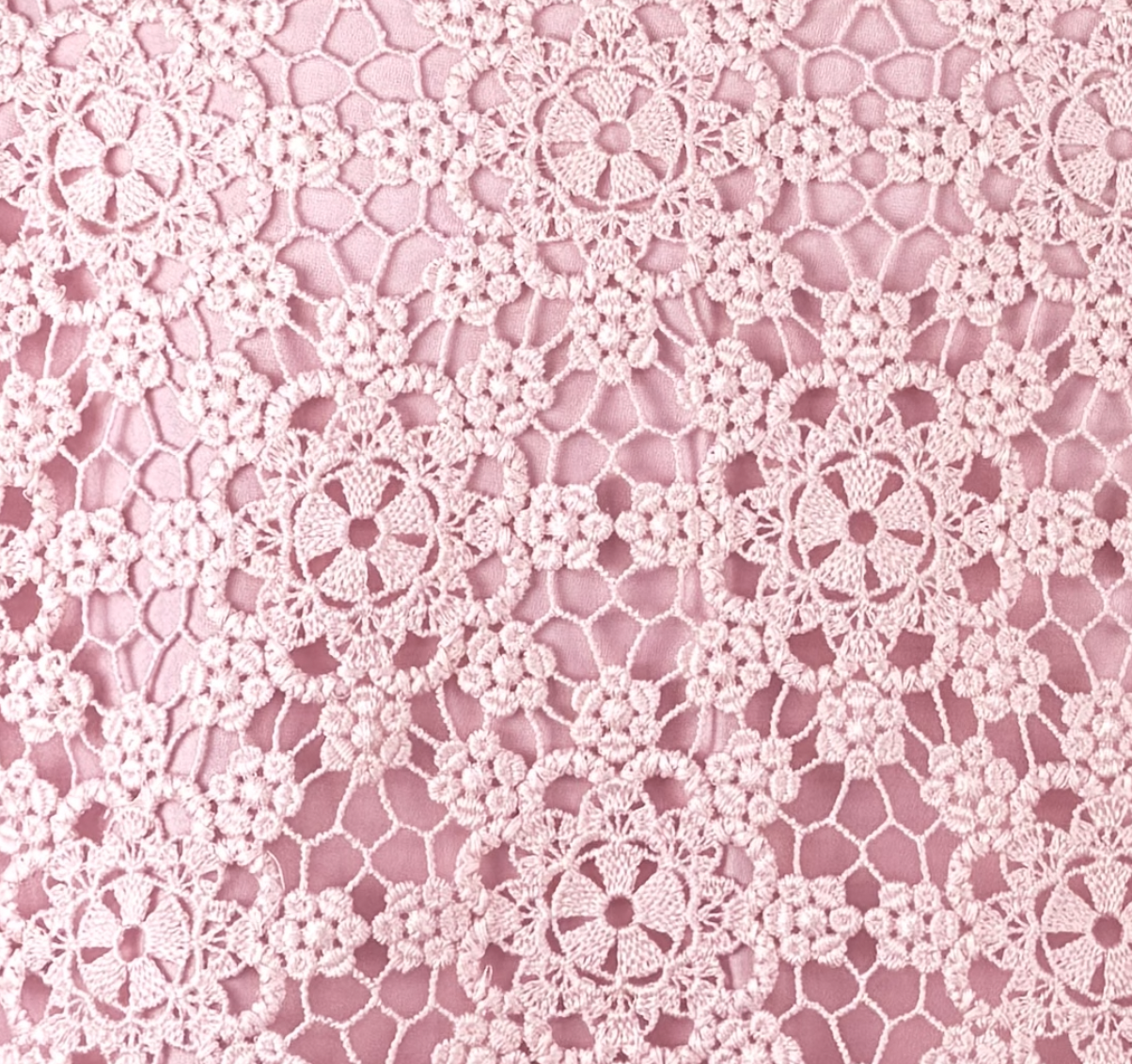 Screenshot 2026-02-24 at 5.37.29 PM.png