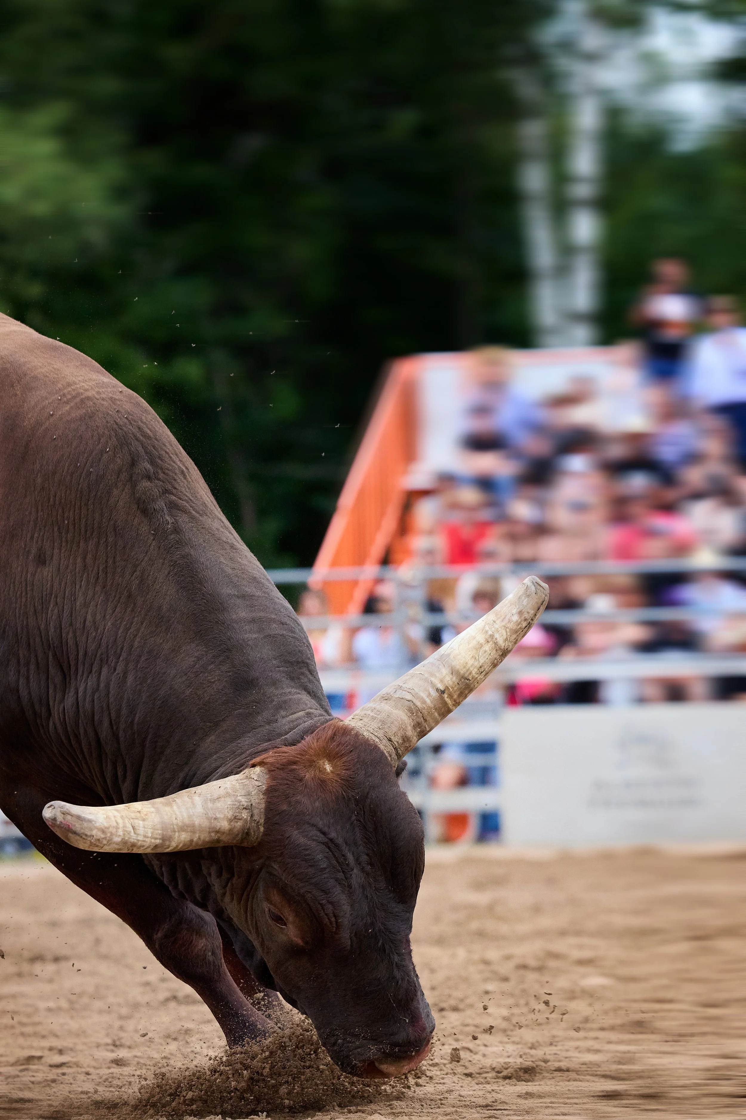 RAM_Rodeo_IMGL08941.jpg