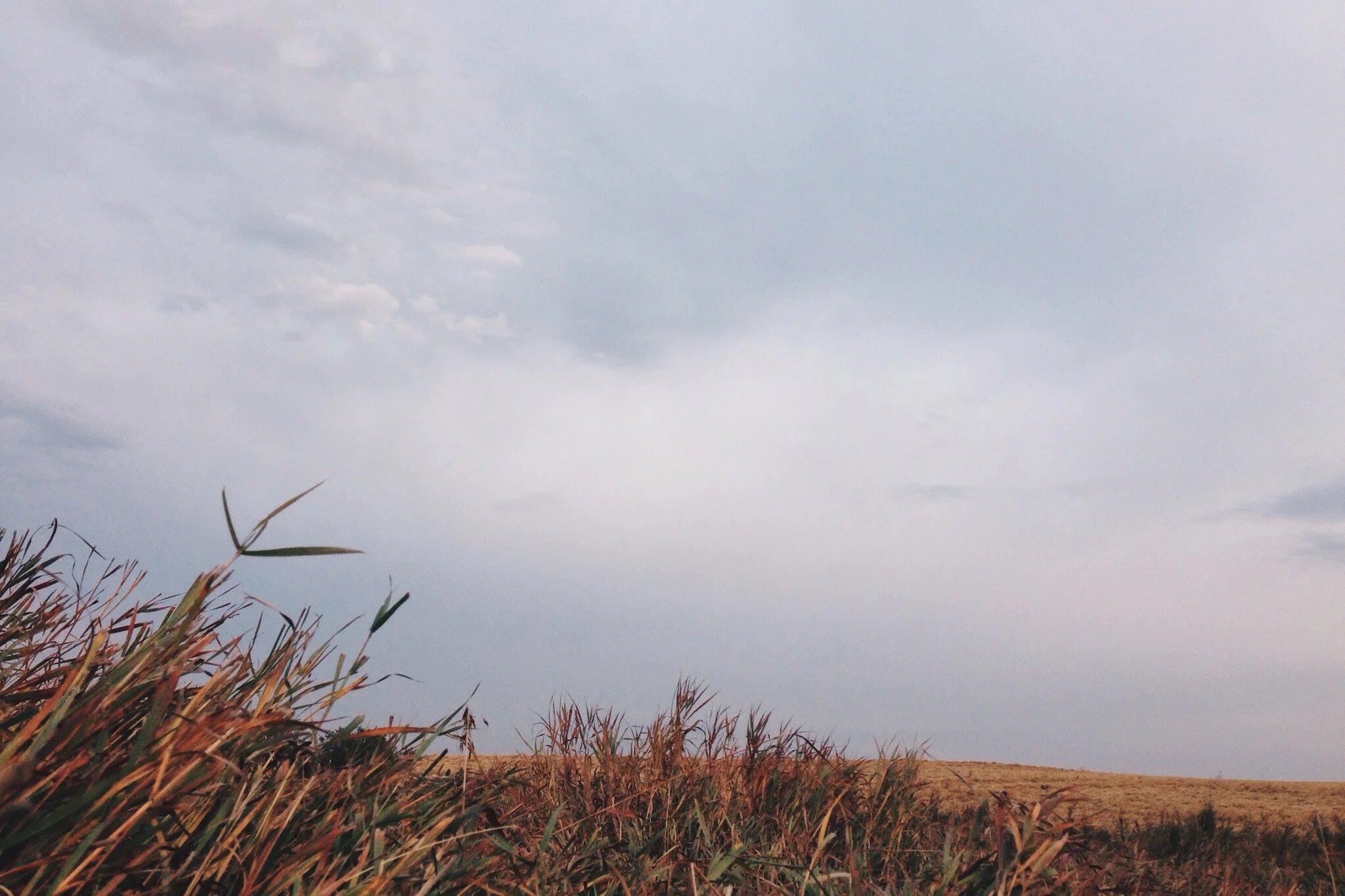 "Call me also the cornfields of Boaz"