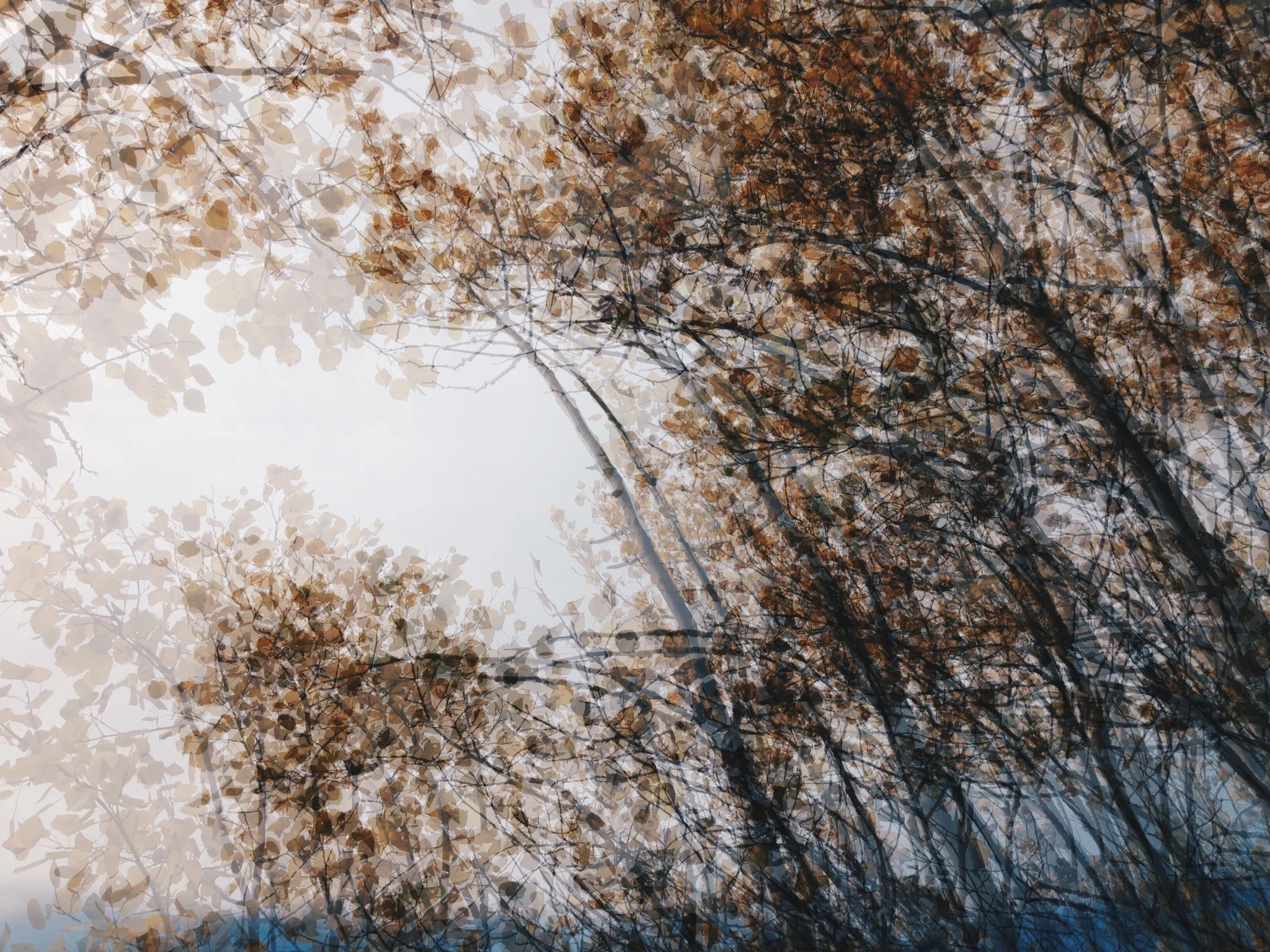 The Seeing Eye and the Written Word