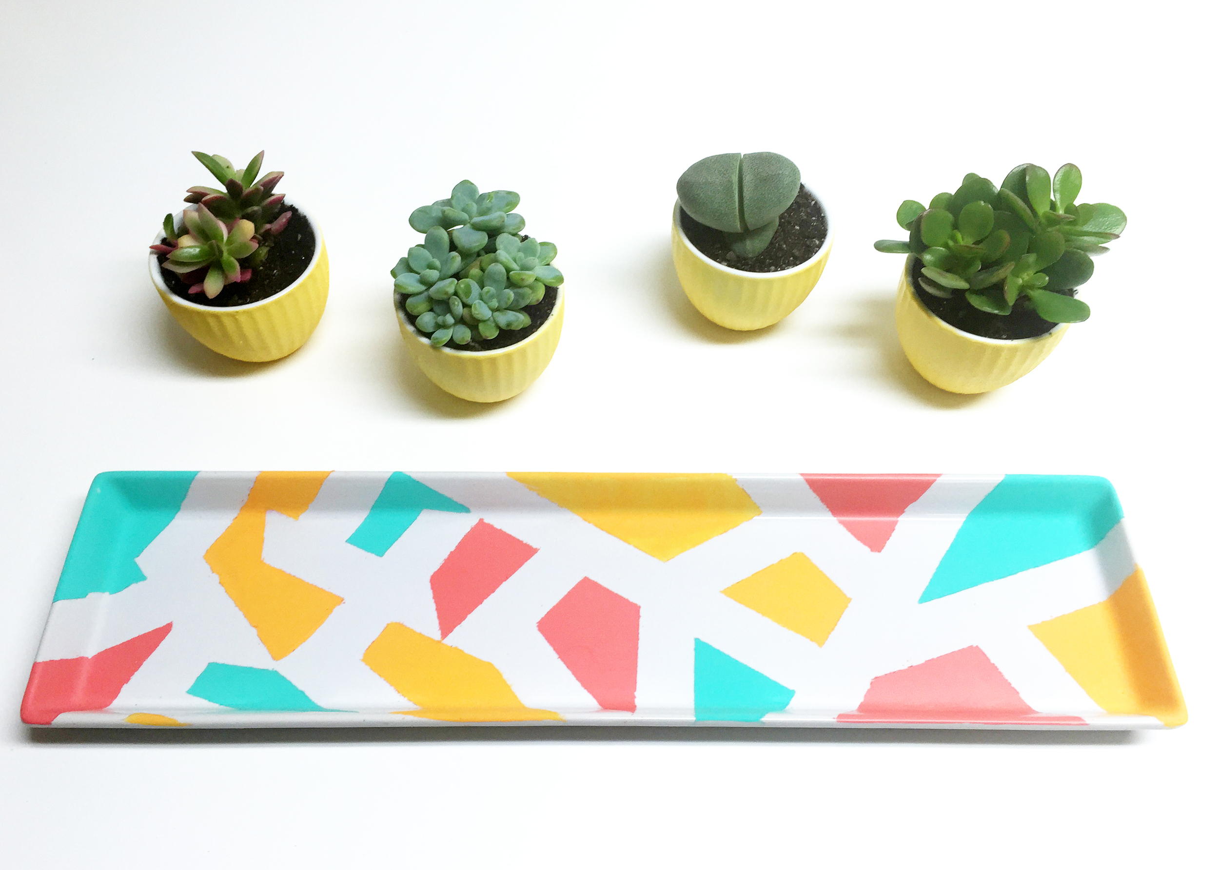 Succulent Tray-Off Tray.jpg