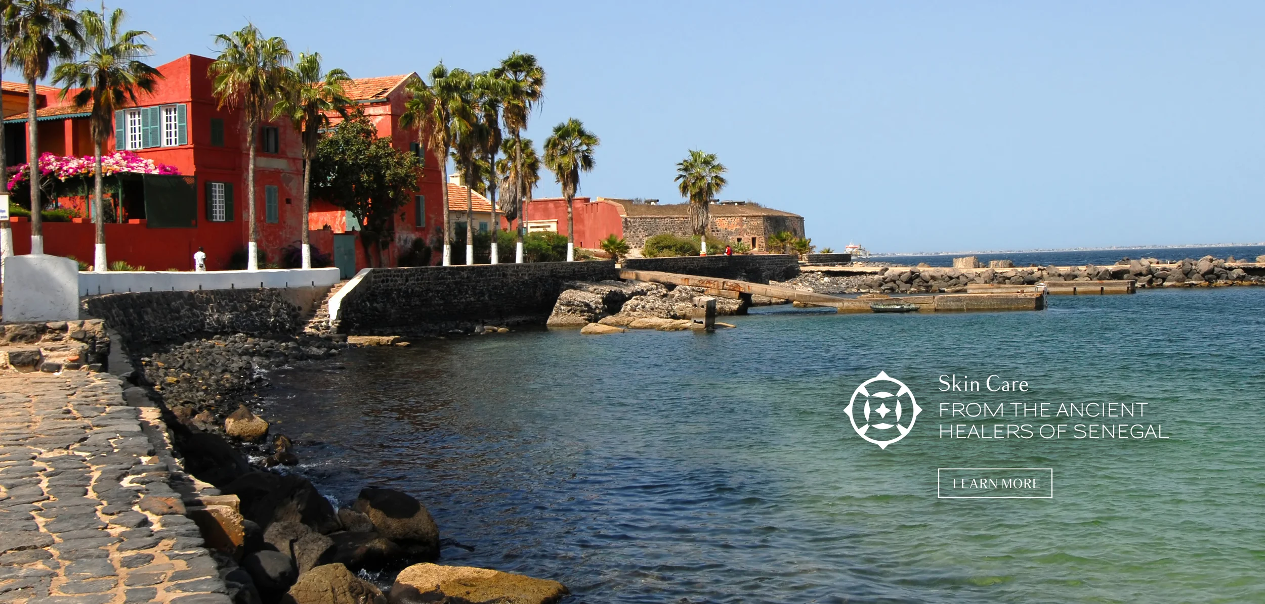 HomepageBanner_Senegal2.jpg