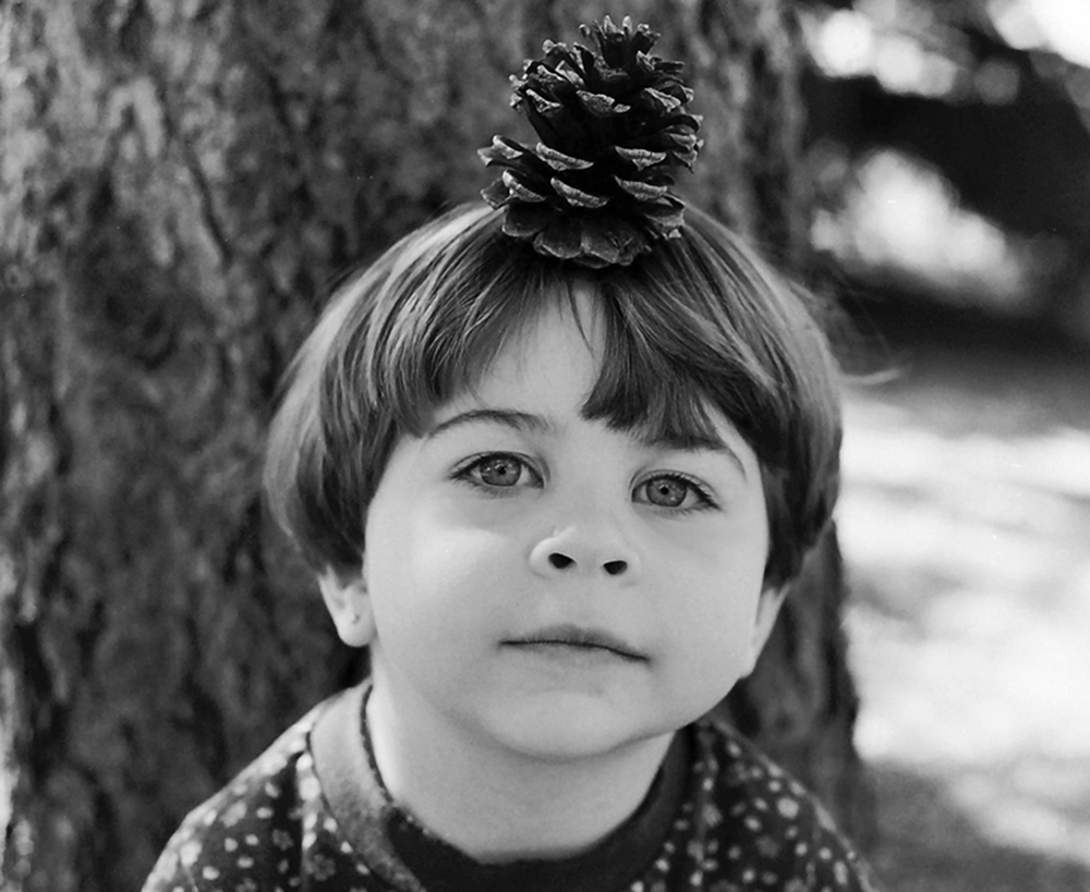 Hayley+PineCone.gif