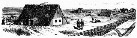 "Many novels portray the experiences of Canadian Russian Mennonites, but very few, especially recently, depict Russian Mennonites in the U.S., and it is exciting that Shaken in the Water remedies this lack. "