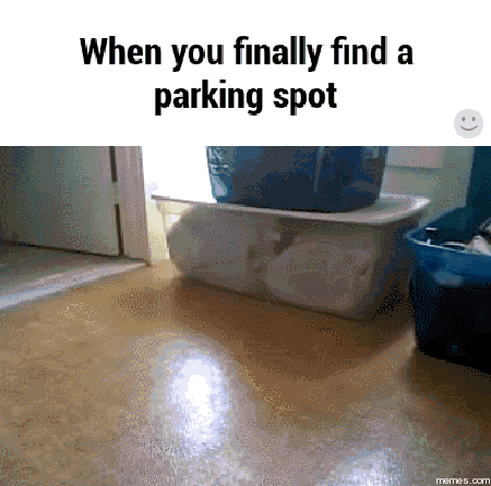 giphy (11).gif
