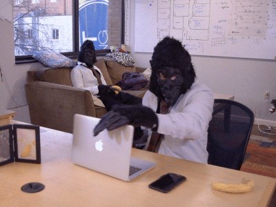 giphy (11).gif