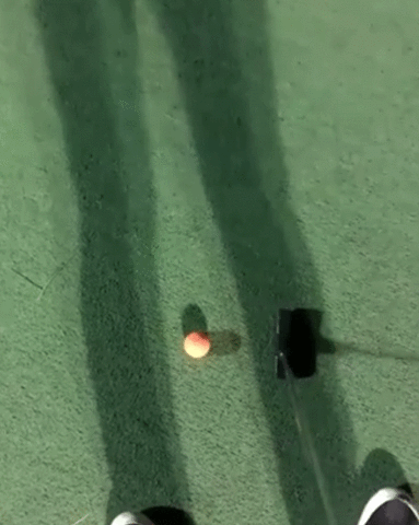 giphy (16).gif