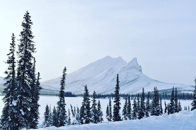 There's snowplace like home.... ❤ How much snow do you have on the ground? 
Photo by 📸 @stephanie.223