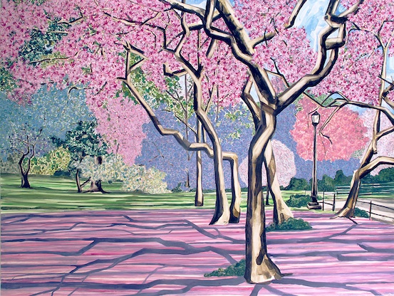 Cherry Blossoms.jpg