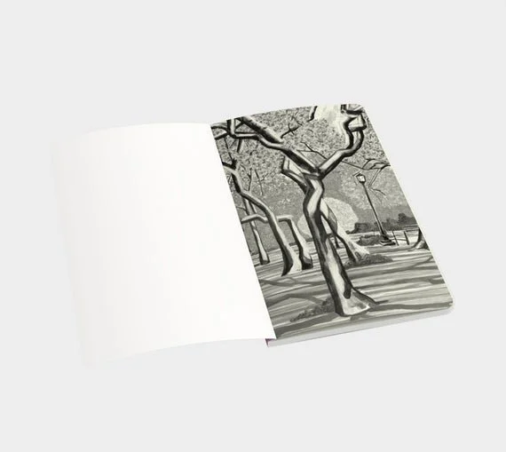 https://i.etsystatic.com/21754985/r/il/b5c43d/2386744150/il_570xN.2386744150_5kb5.jpg