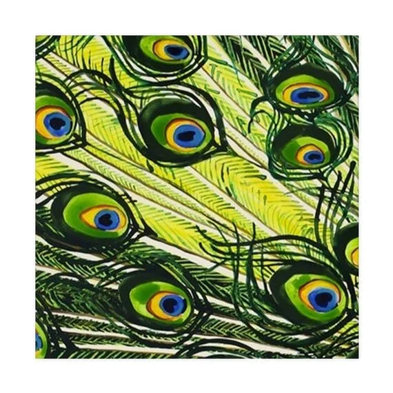 https://i.etsystatic.com/21754985/r/il/178c77/2222528876/il_570xN.2222528876_dzhf.jpg
